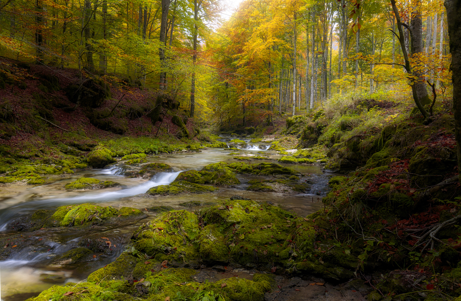 Arzino Stream in Autumn.