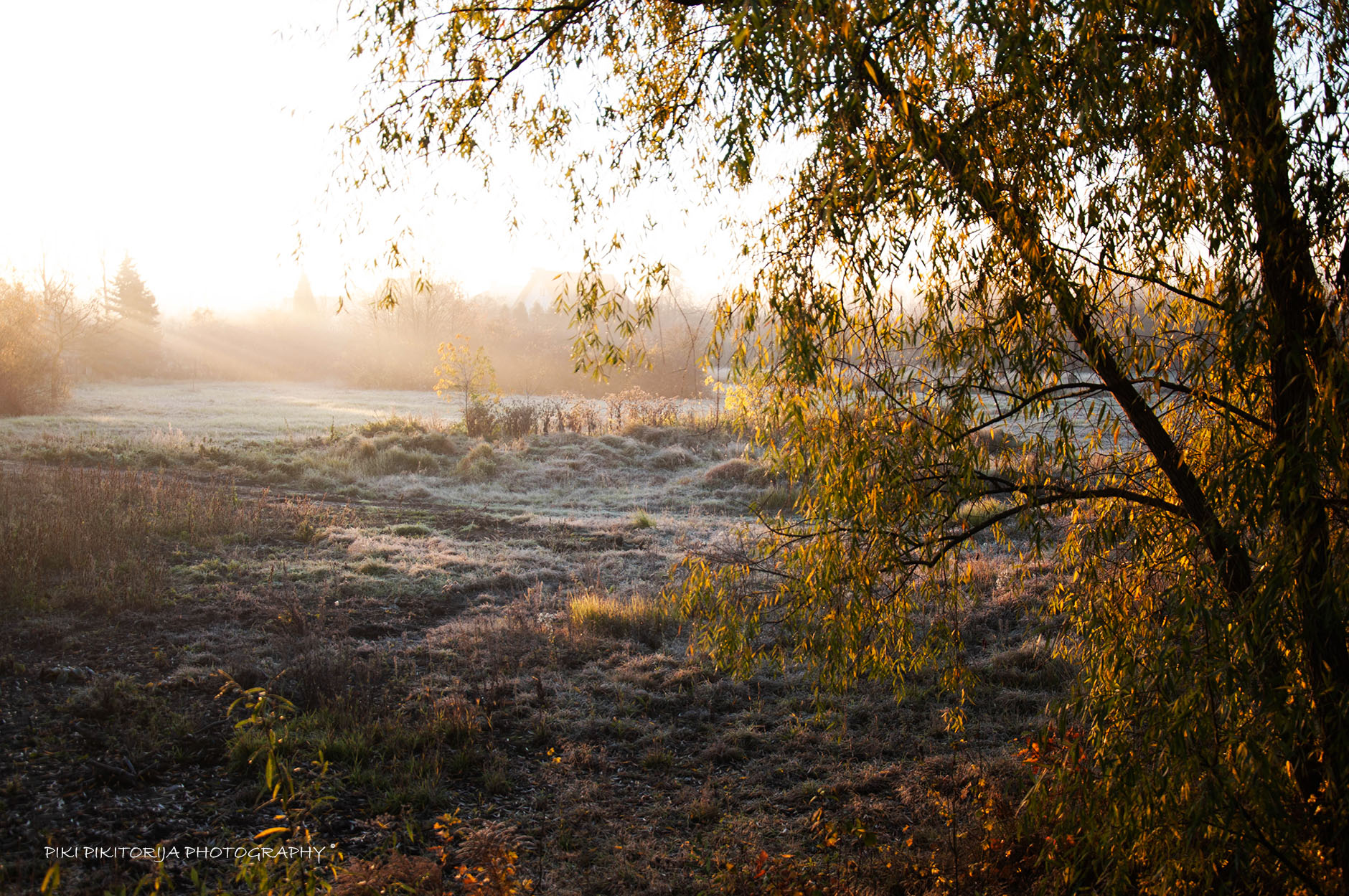 Lituania in questo periodo alle 7 a.m.