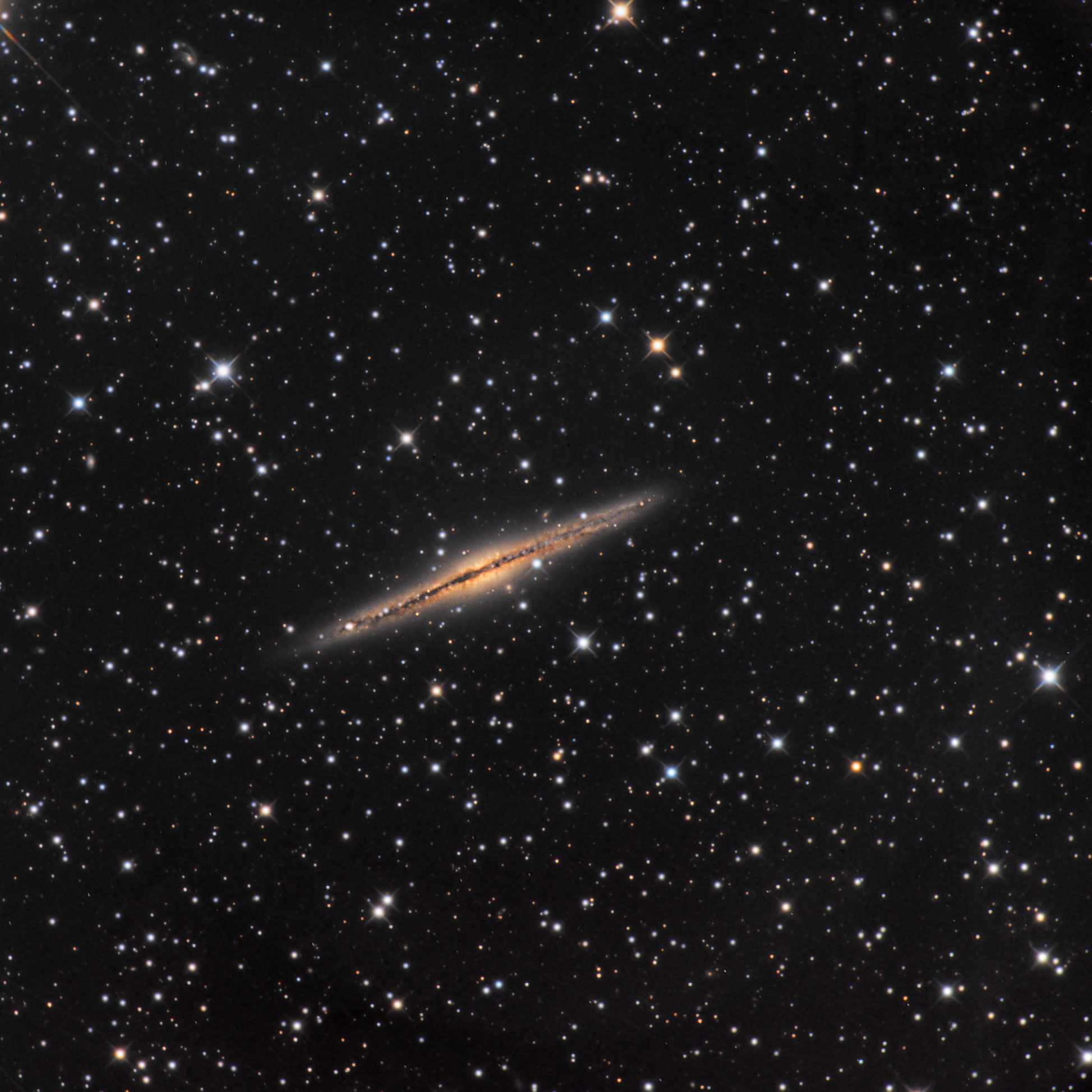 NGC 891