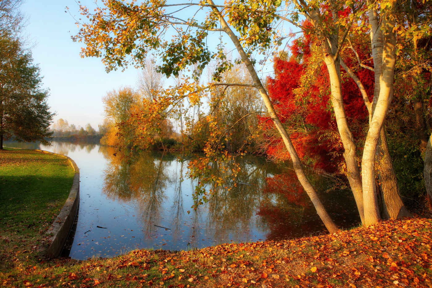 Autumn in Ferrara. Urban Park.
