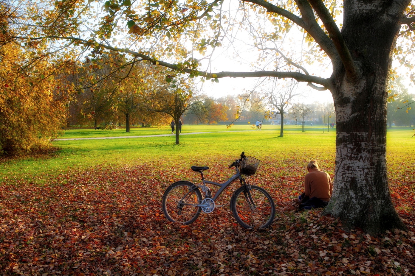 Autumn in Ferrara. Urban Park.