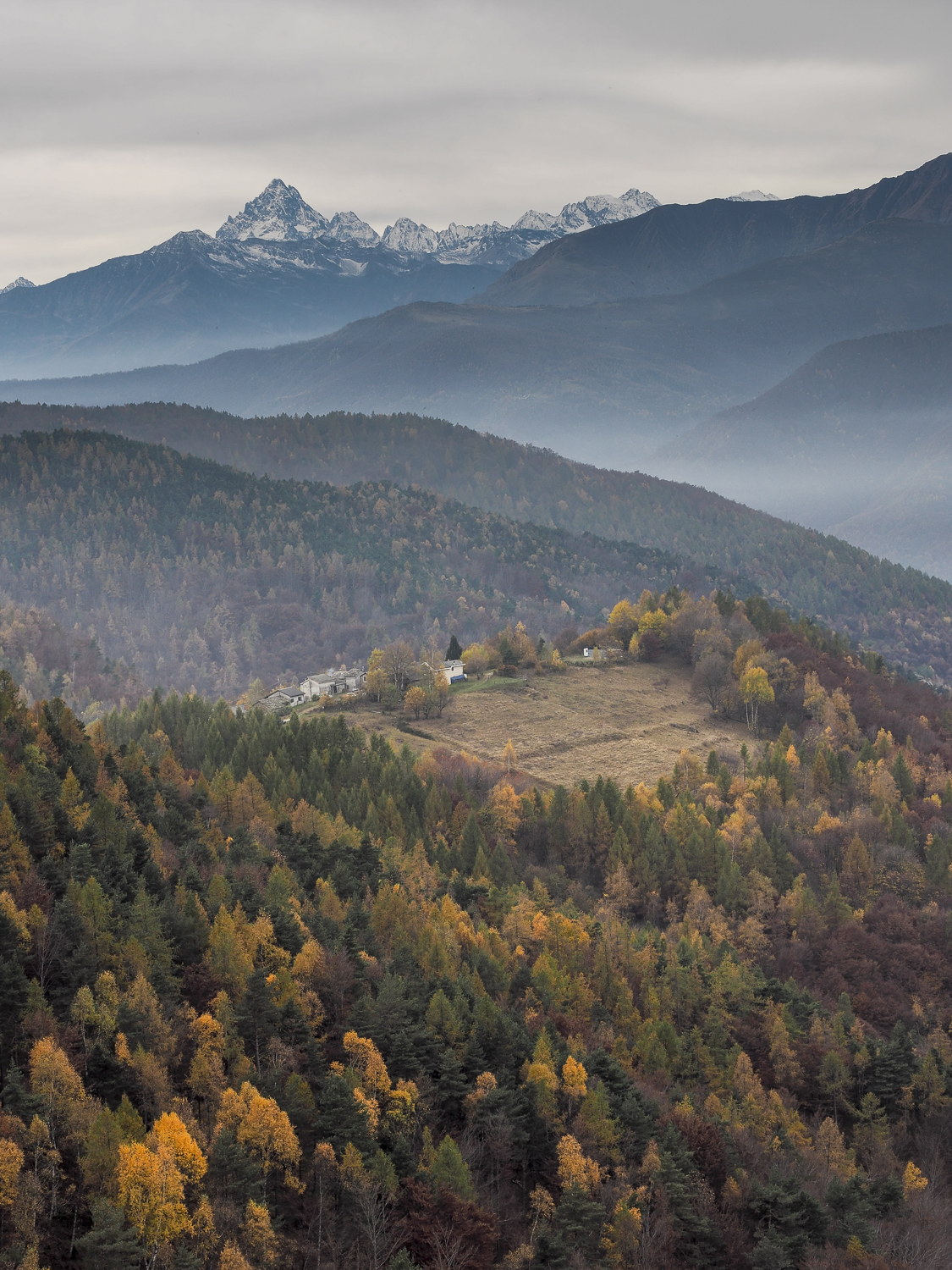Autumn in Piedmont