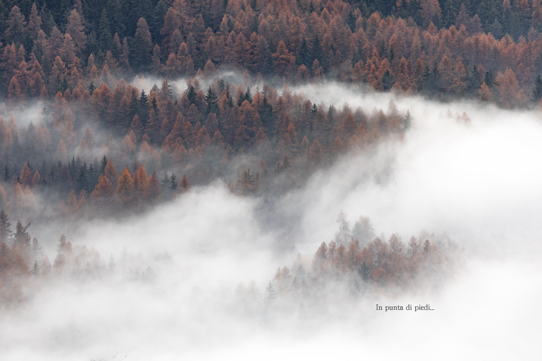 Io sono l'Autunno...