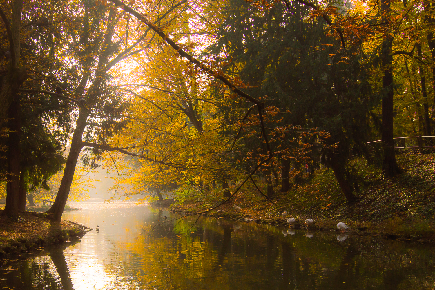 Laghetto del Parco di Monza