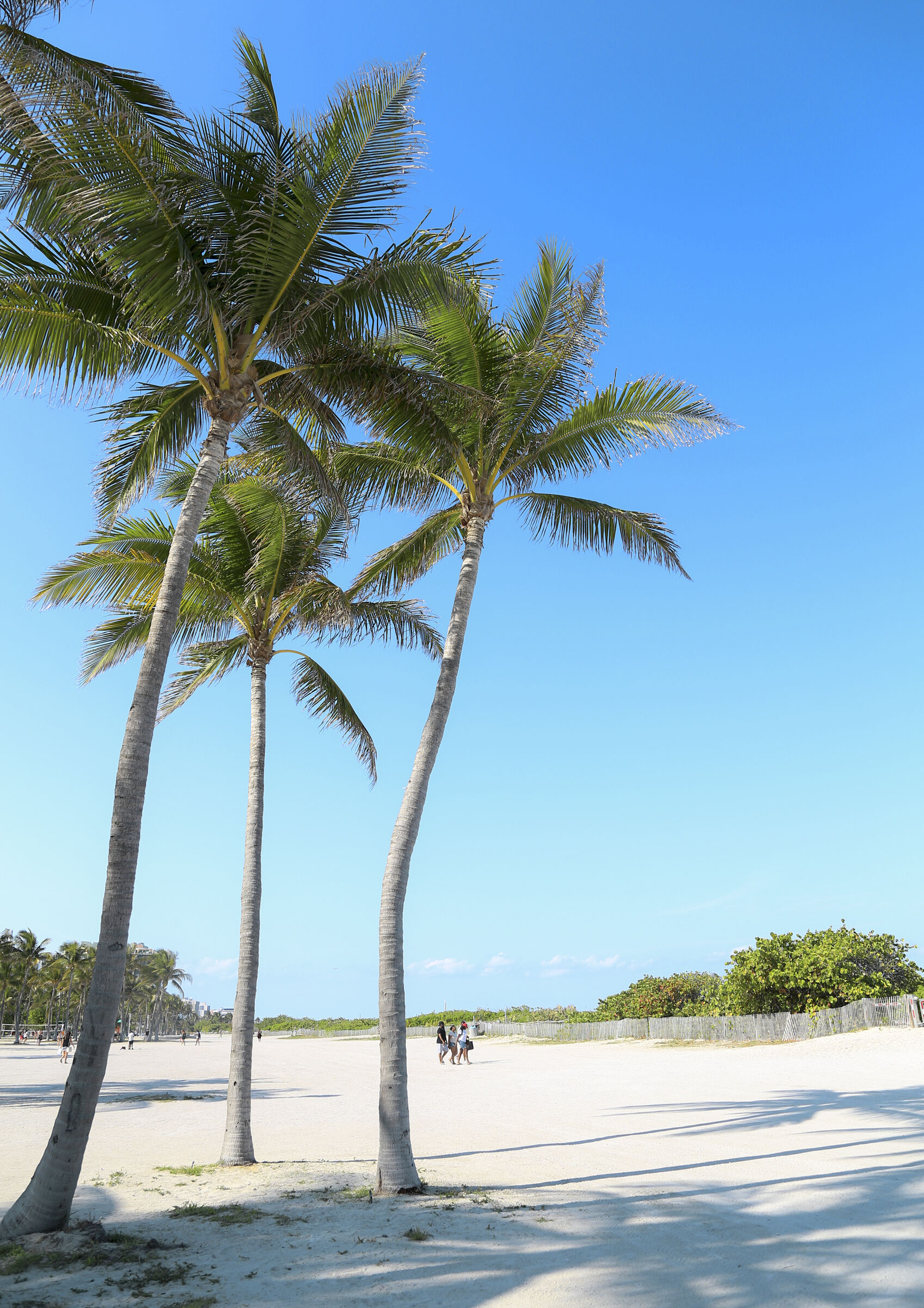 South Beach Miami