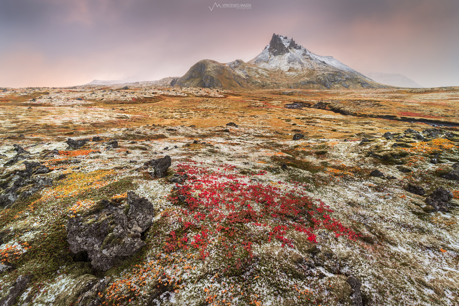 Neve fresca sulla tundra autunnale