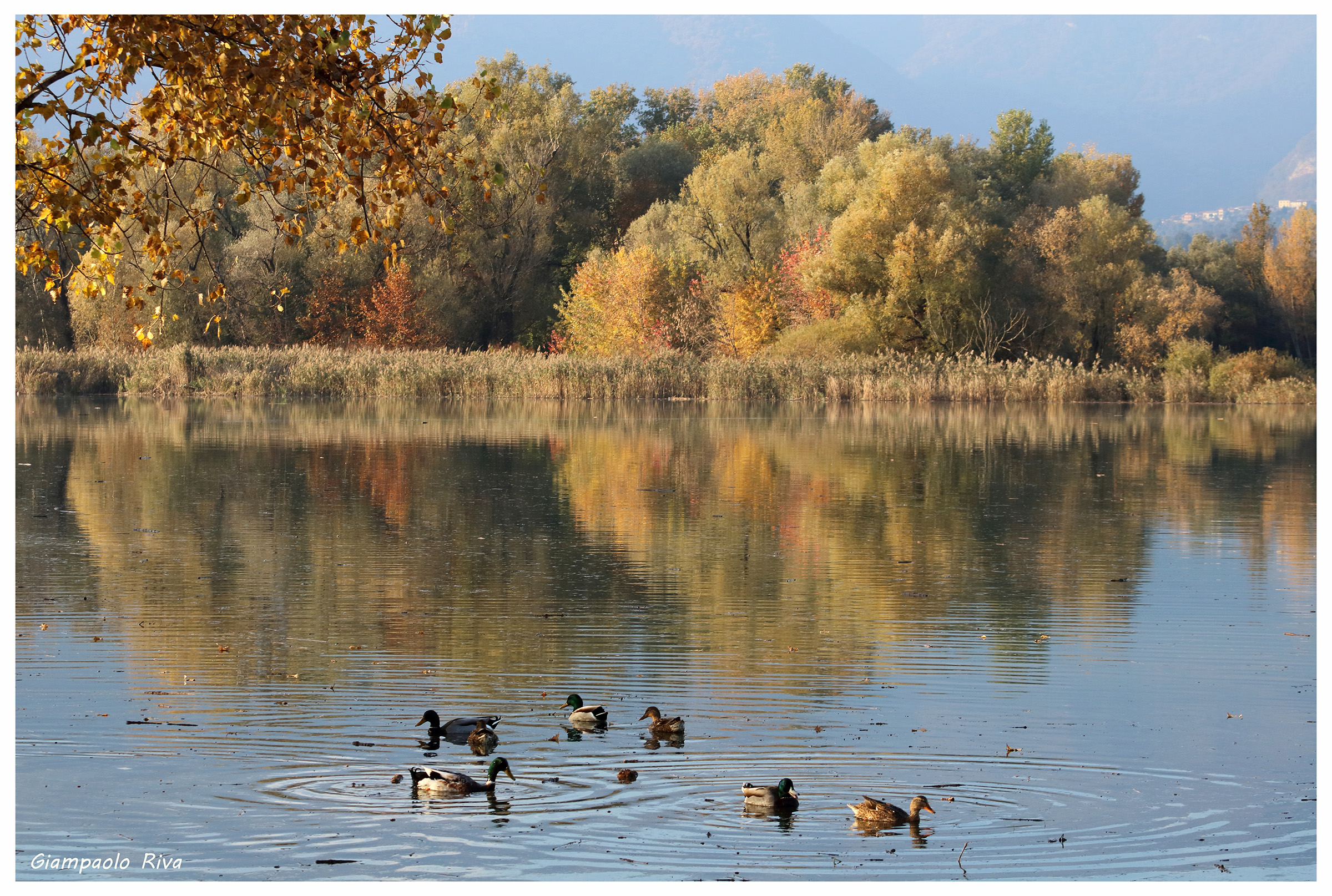 Germans on Lake Pusiano