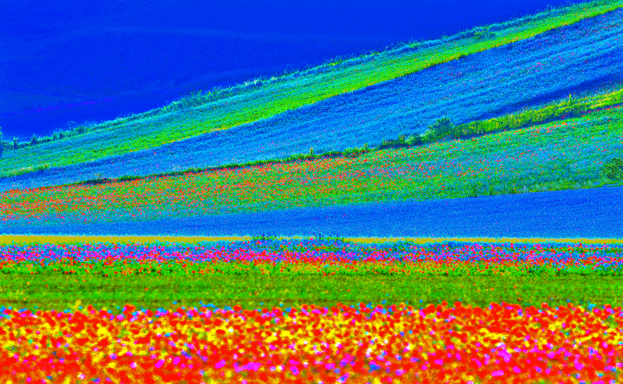 Colori al pin grande.