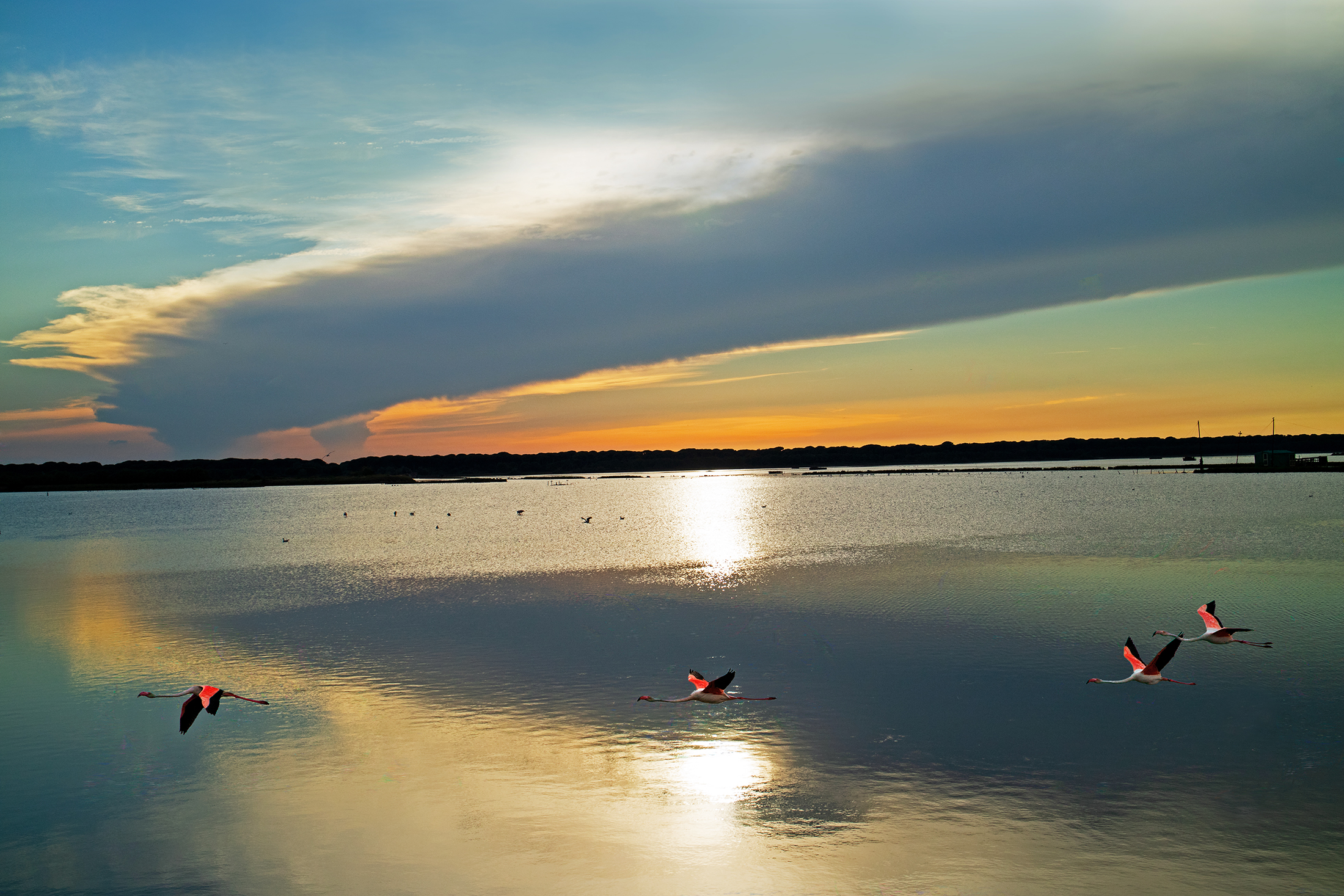 La baiona al tramonto