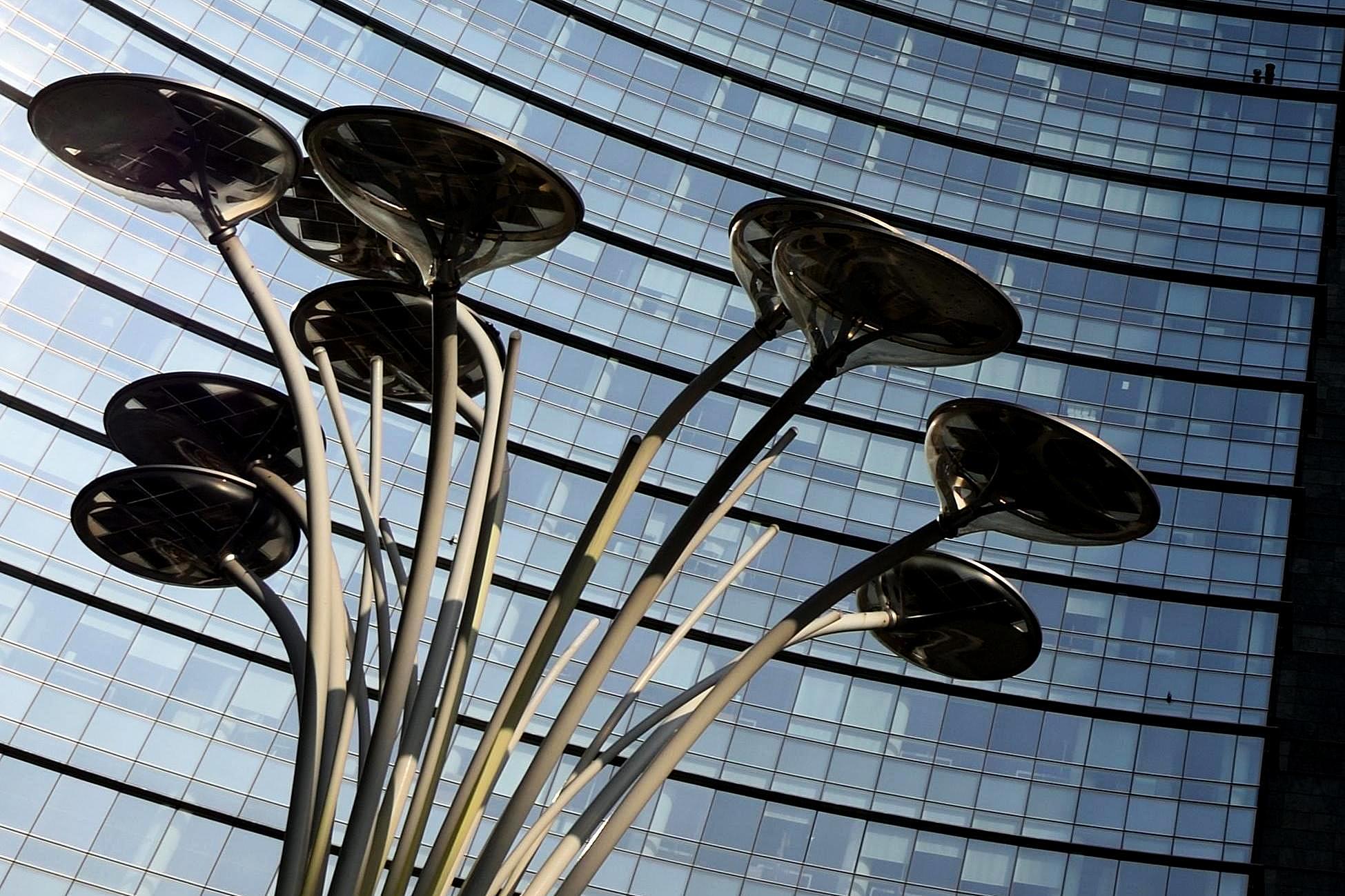 Funghi metropolitani