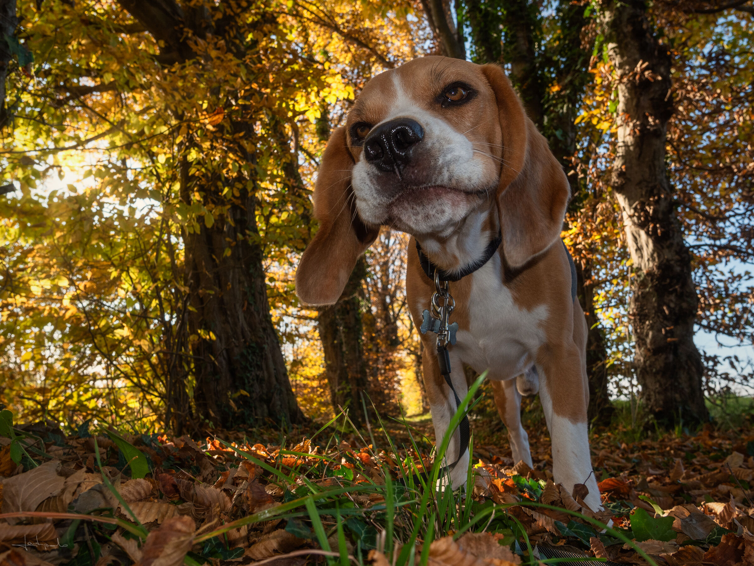 "mmm... I'm puzzled!"