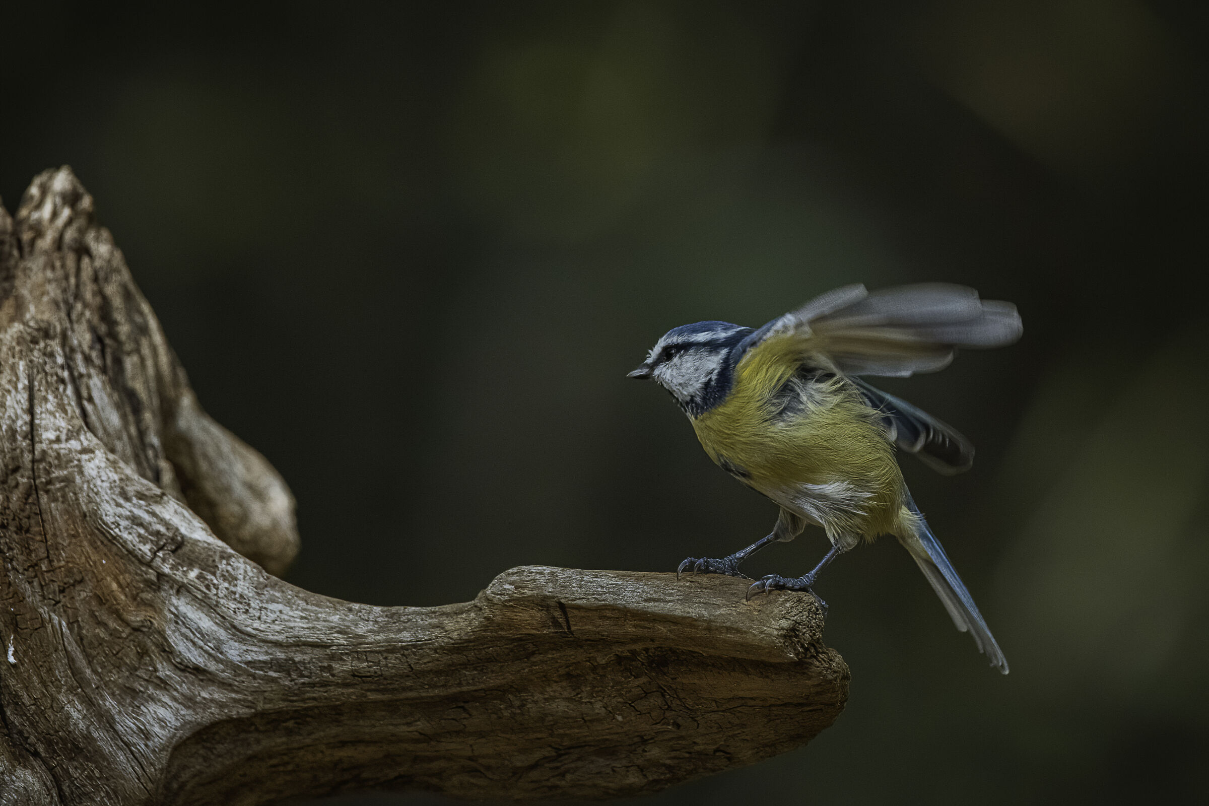 Ricerca di equilibrio