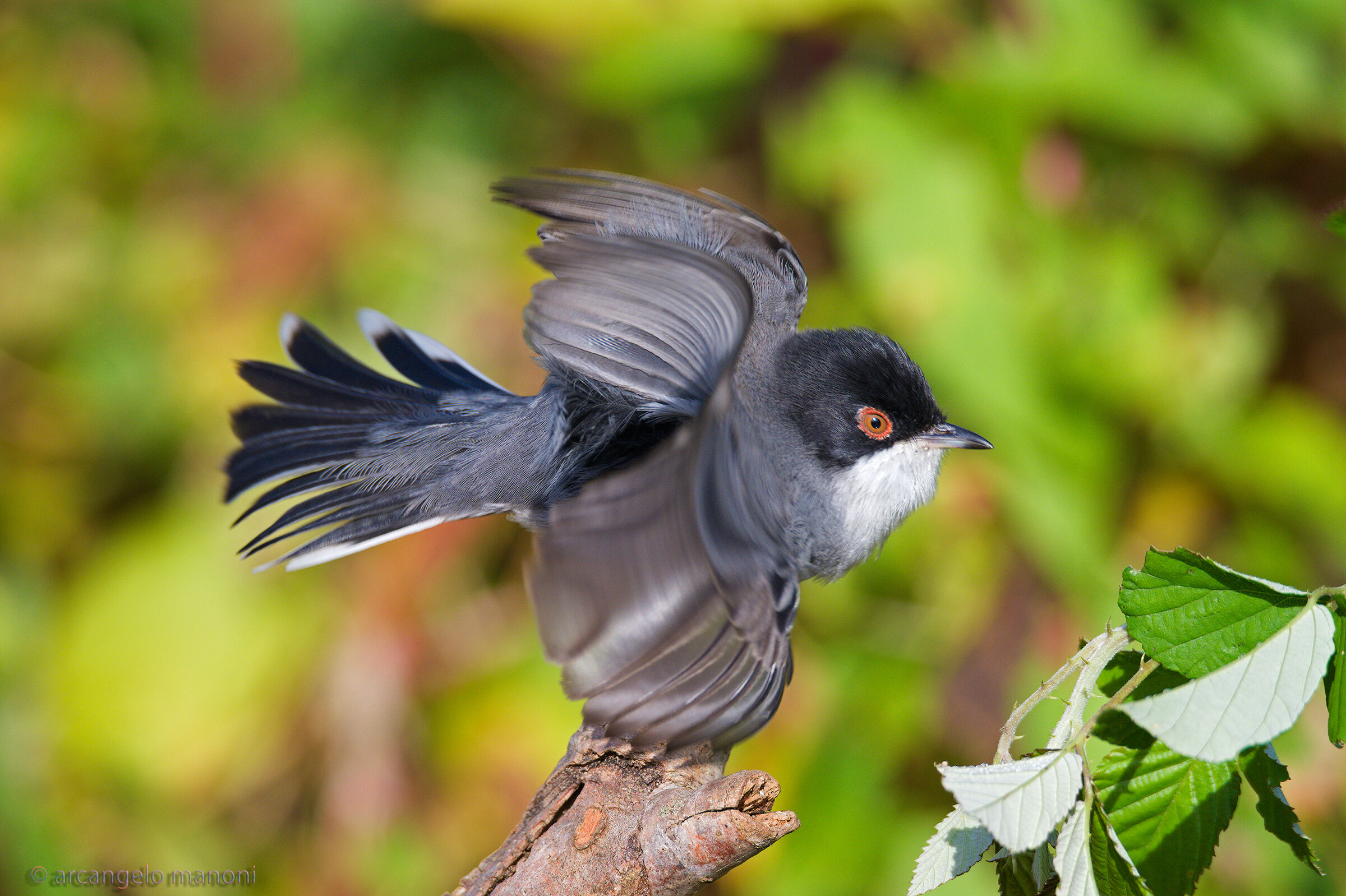 Engines on: rovi inspection take-off