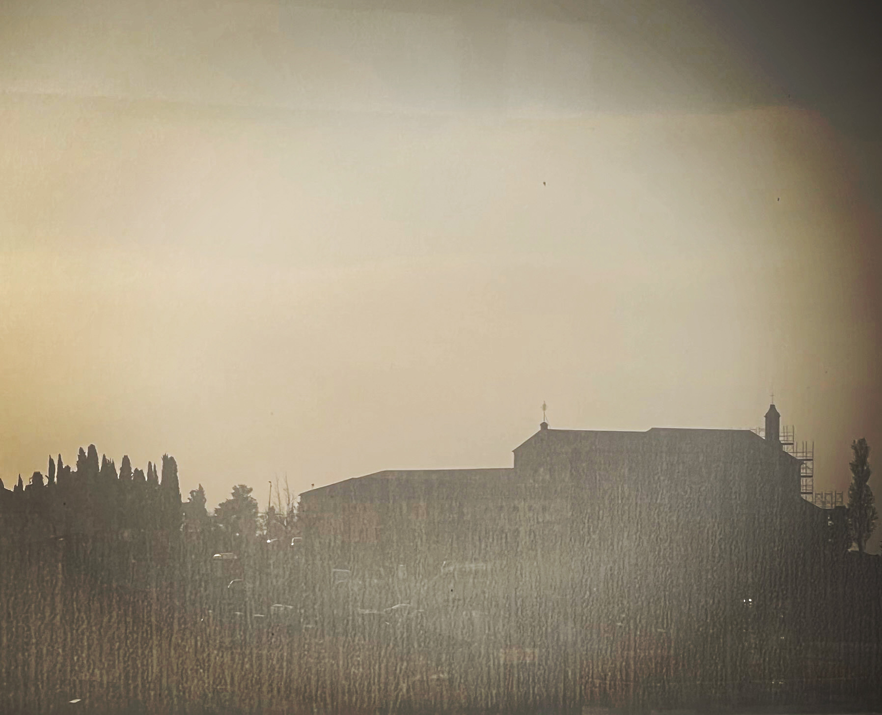 The fog makes you beautiful...