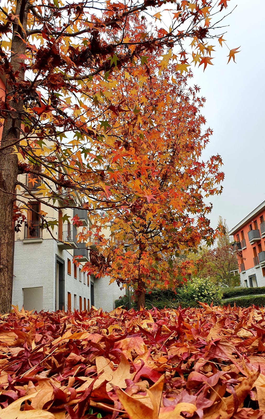 Autunno