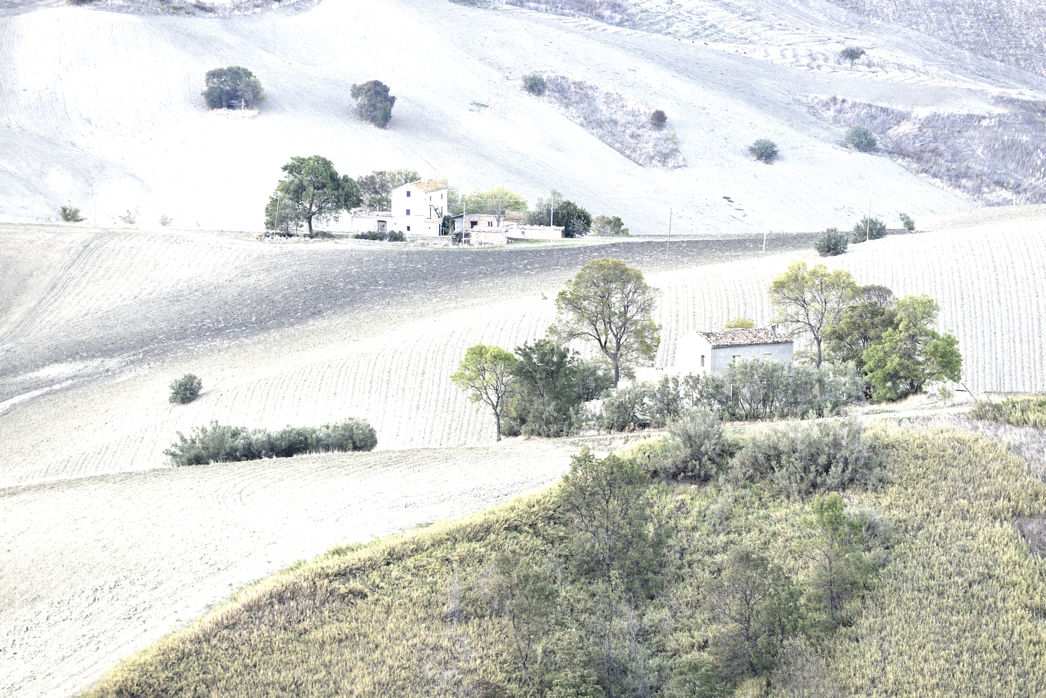 Libera interpretazione