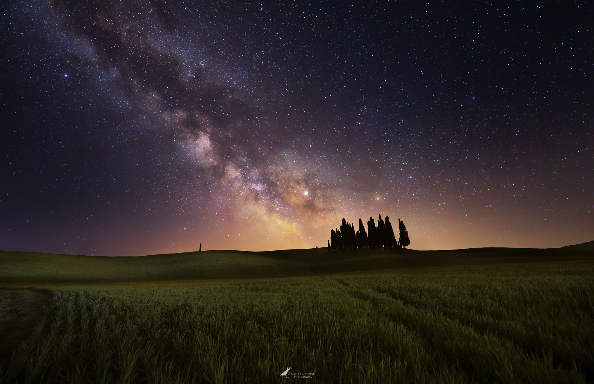 Starry Night in Tuscany