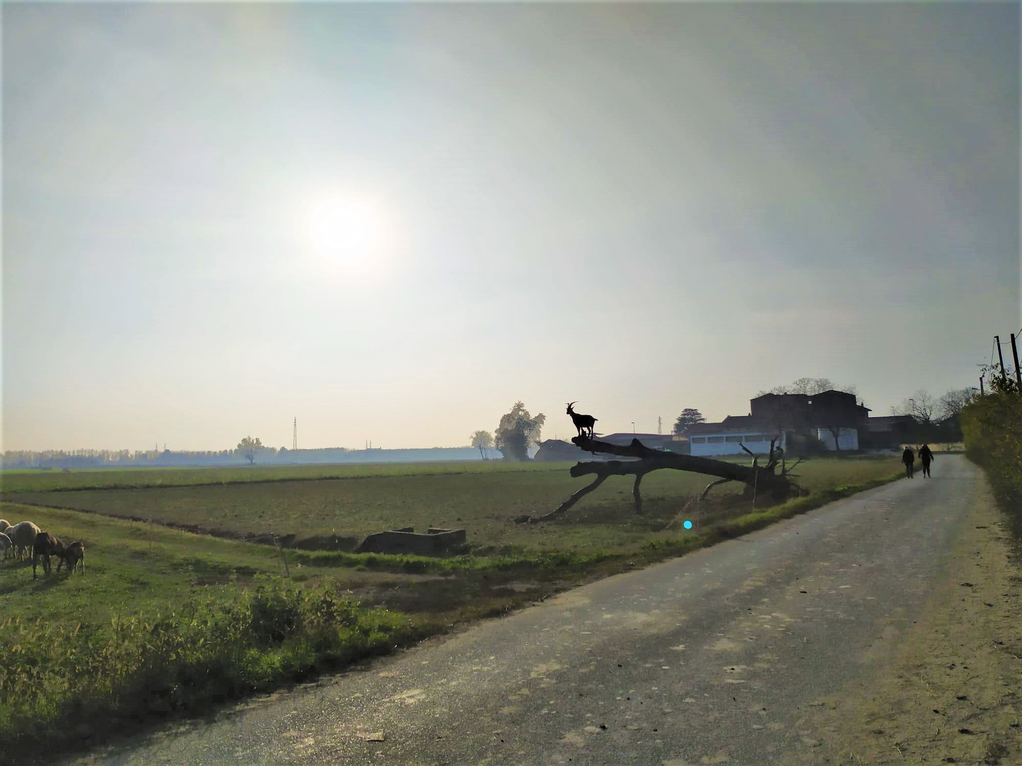 paesaggio autunnale..