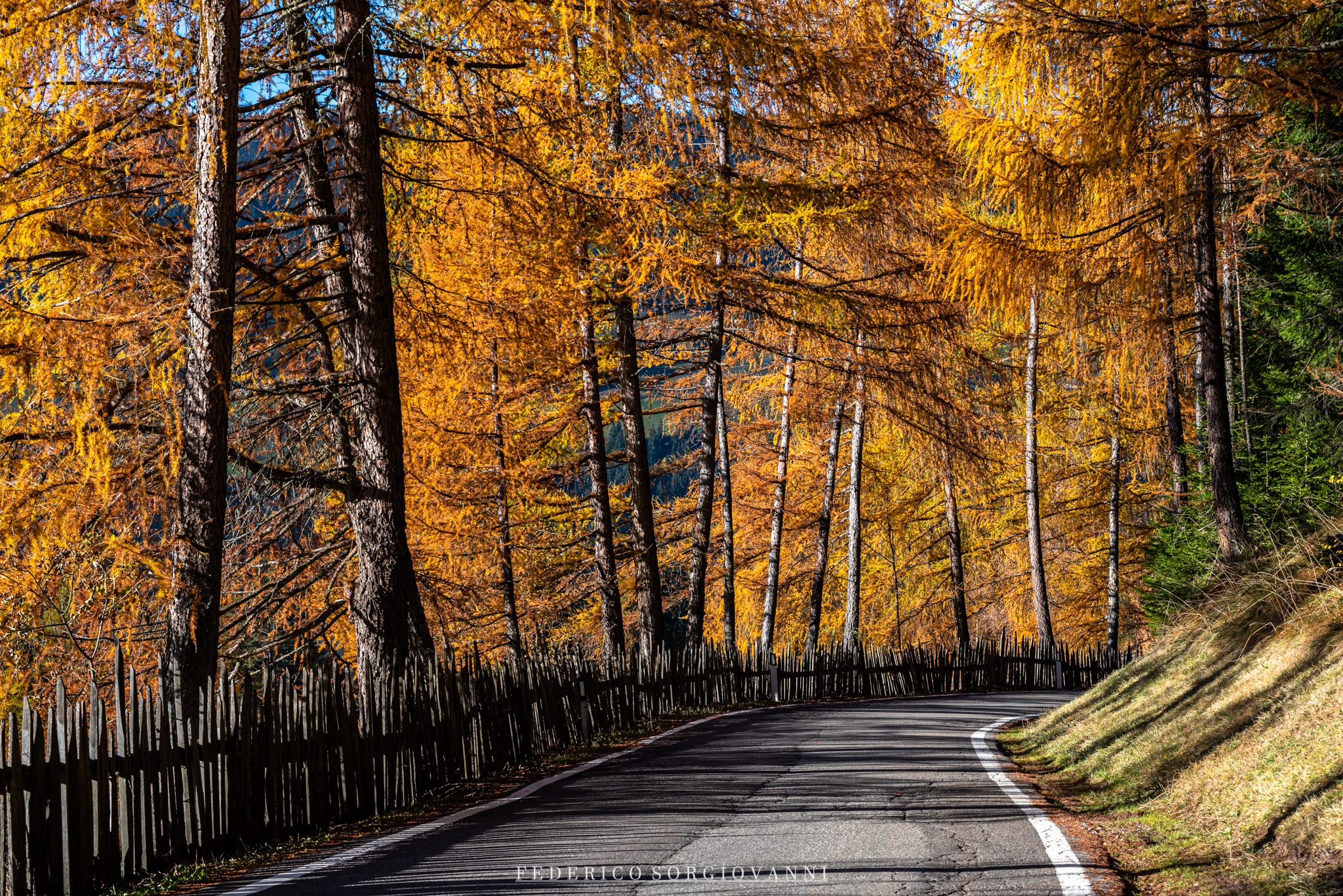 Val di Funes - Foliage