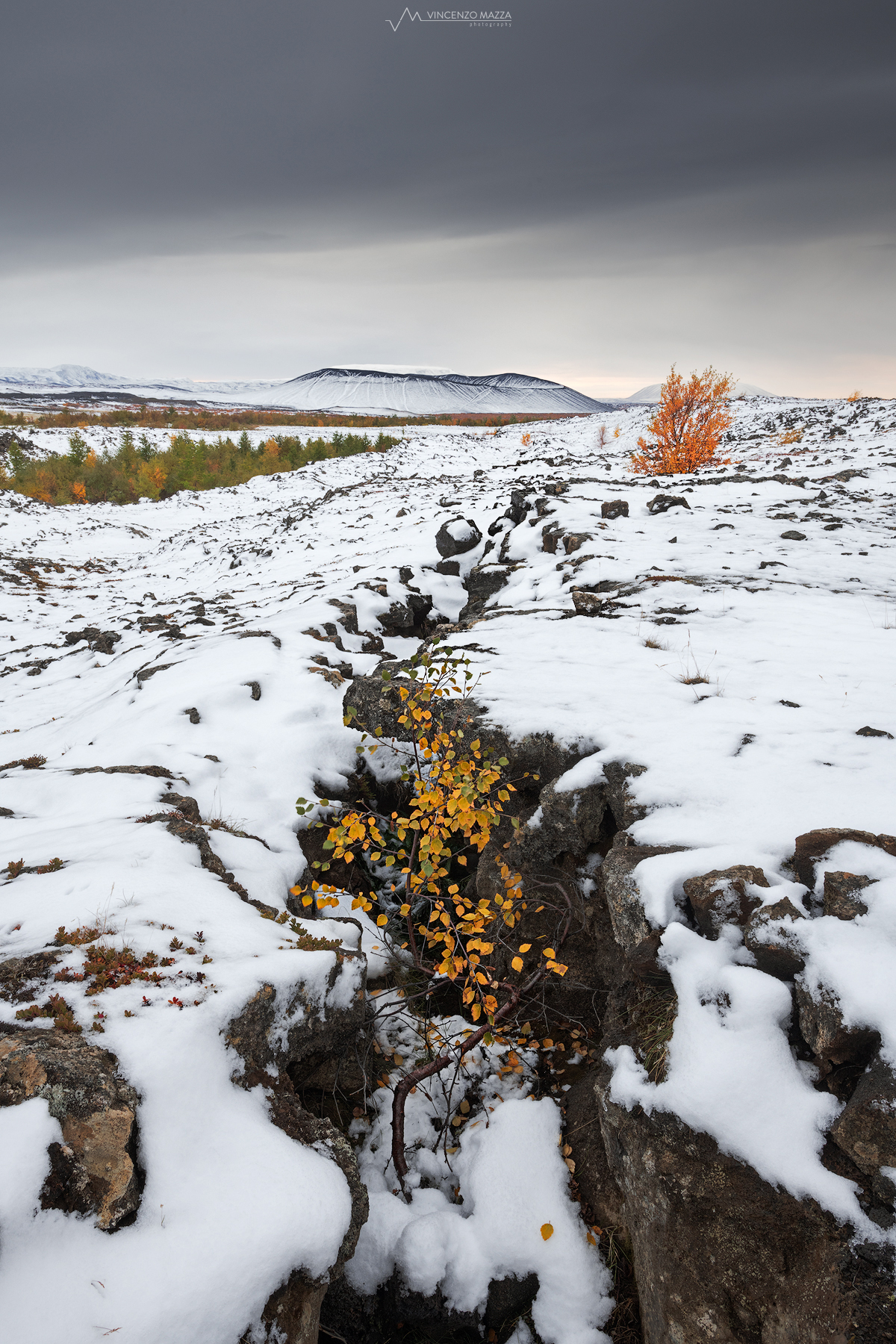 Autunno presso il lago Myvatn