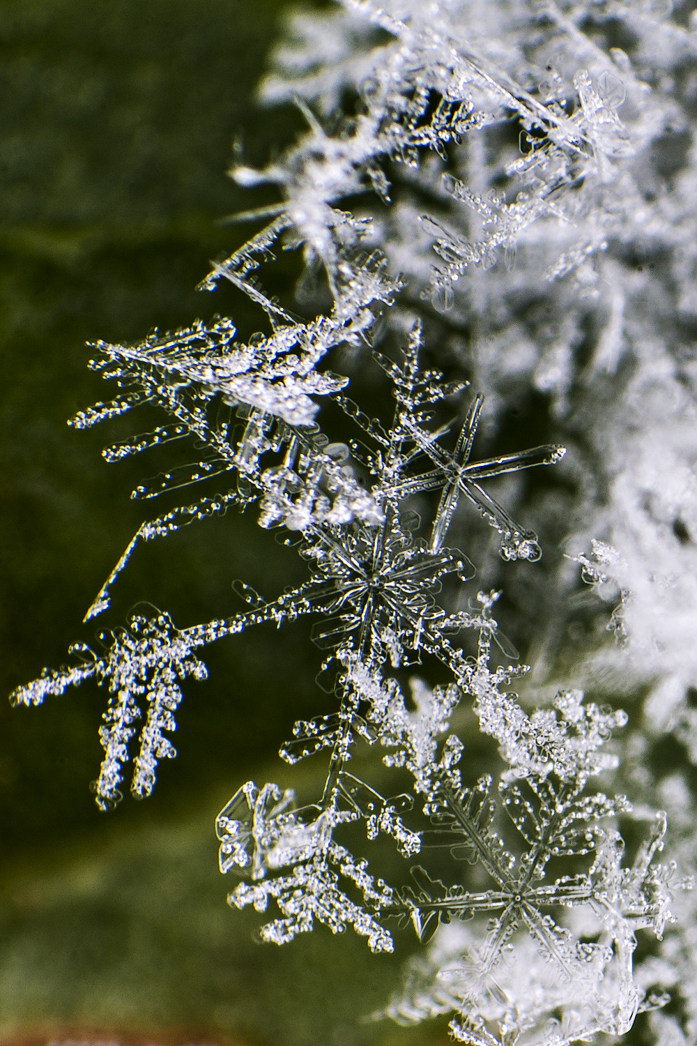 Snow crystals up-close
