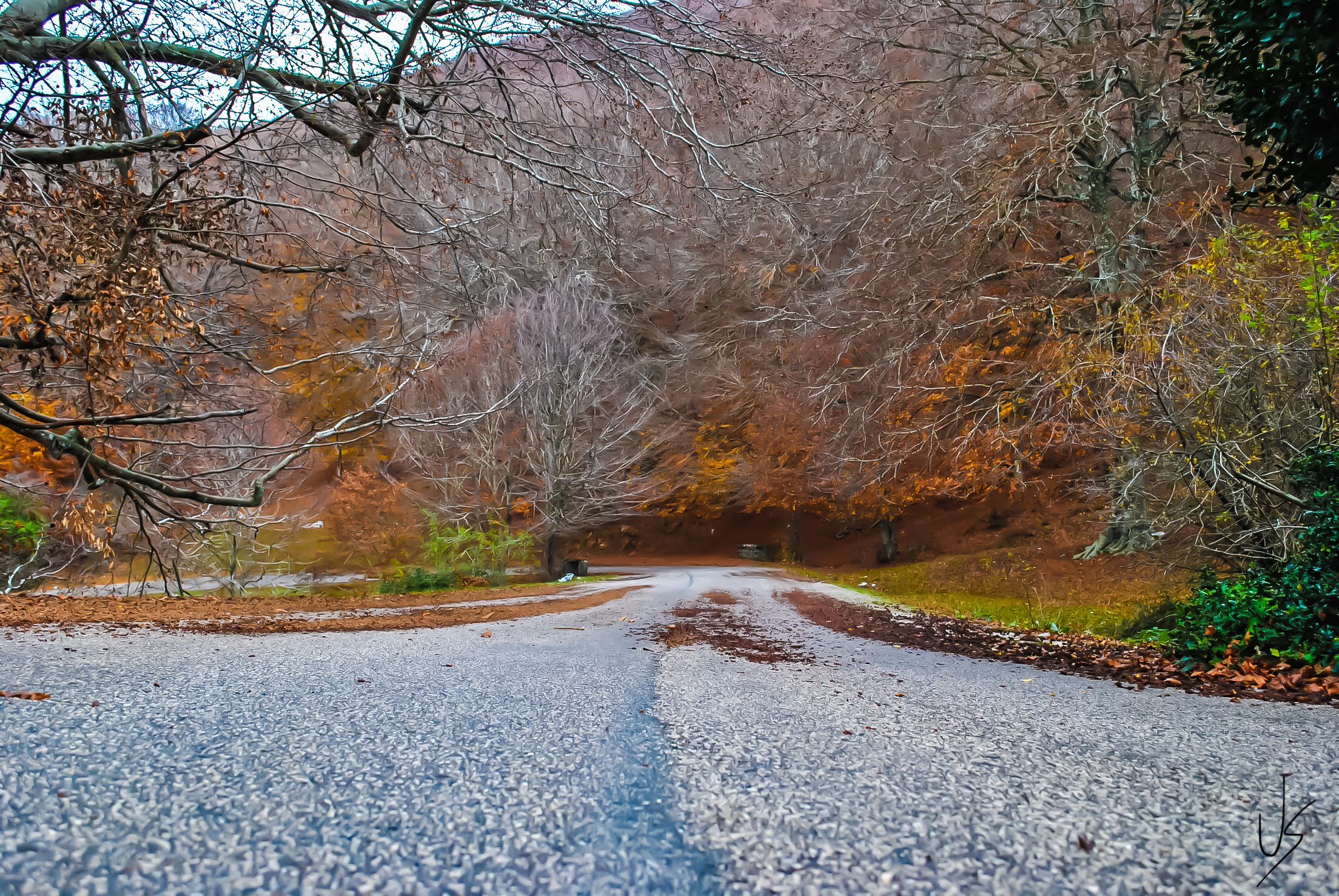Autumn, 2020