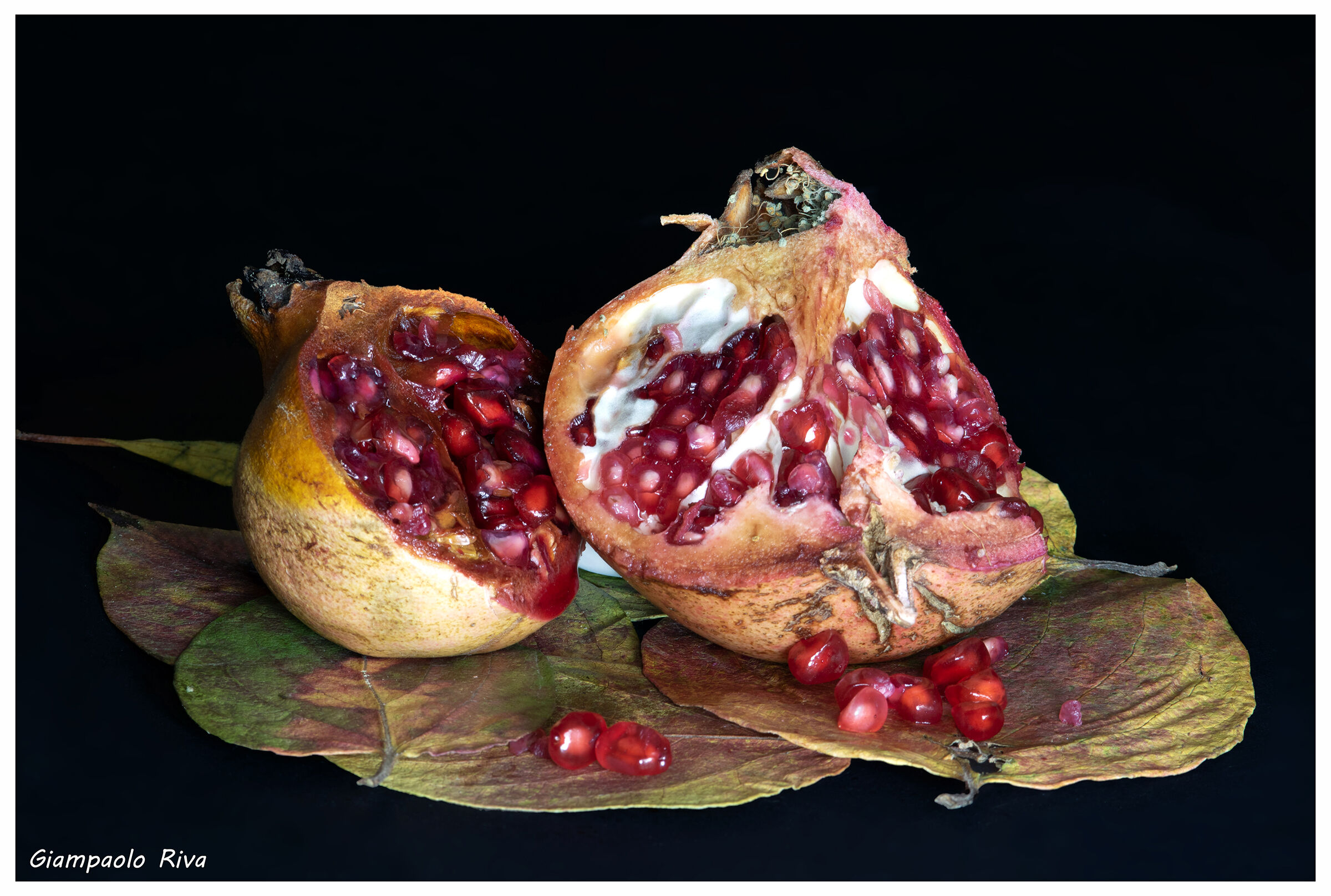 Pomegranates