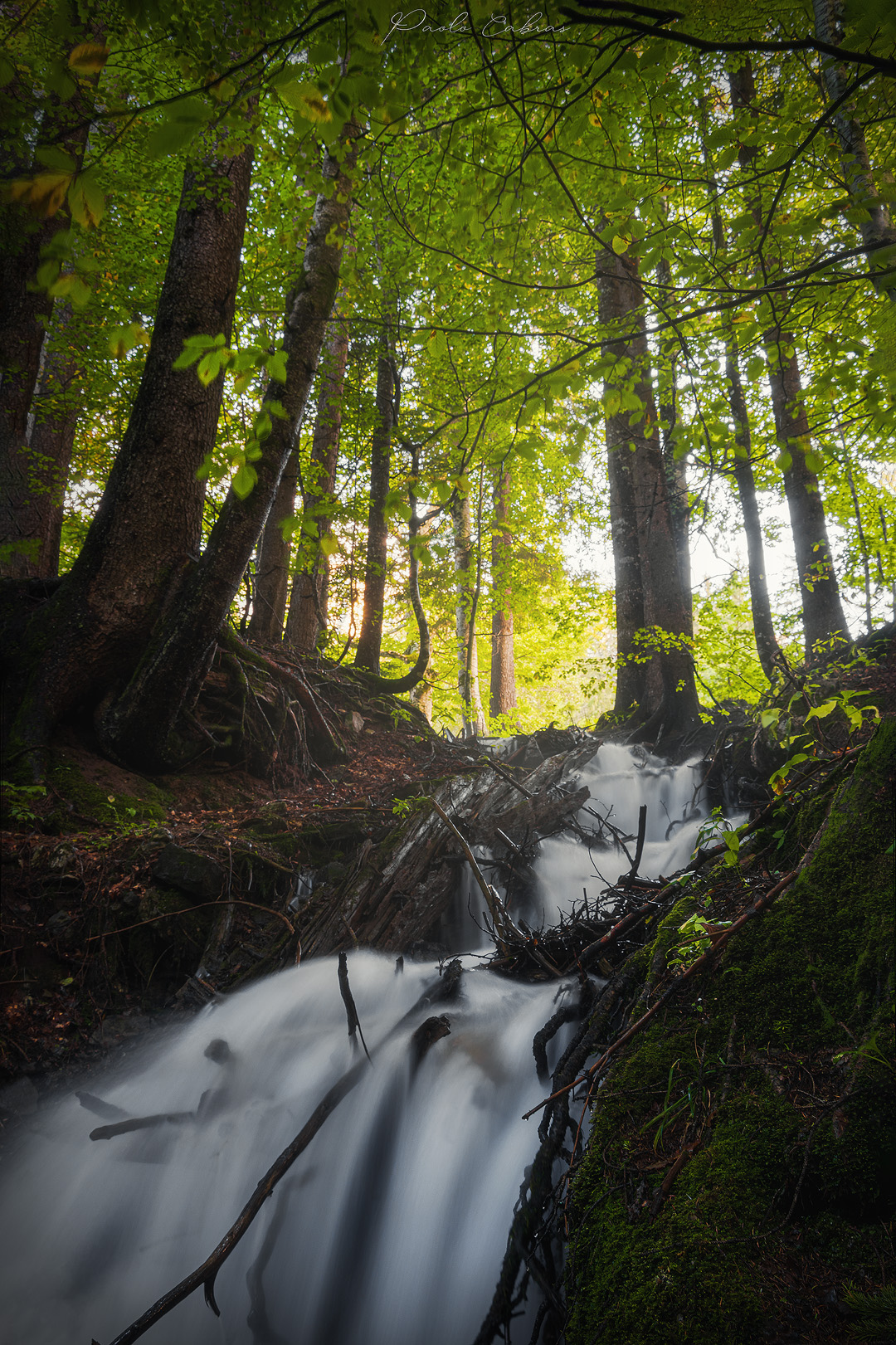 Waterflow
