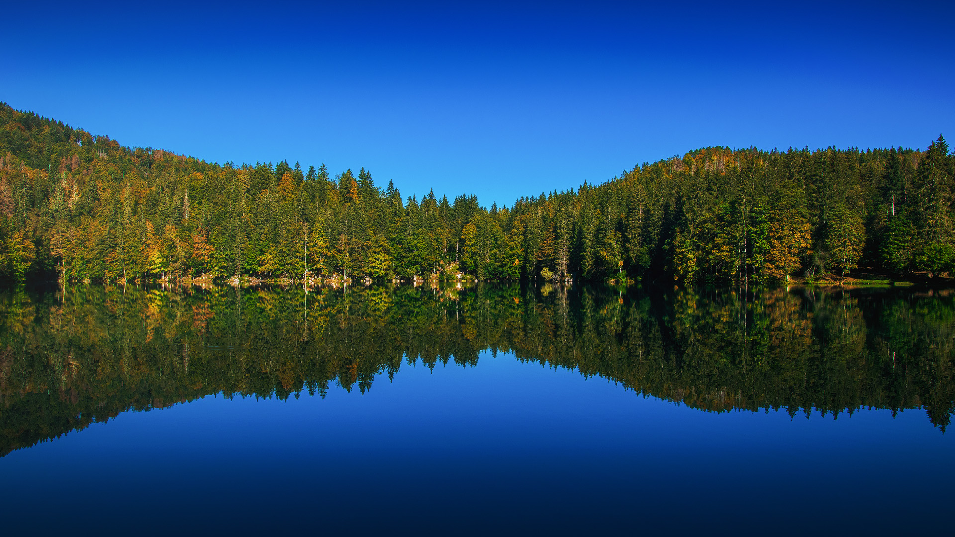 Riflesso sul Lago di Fusine