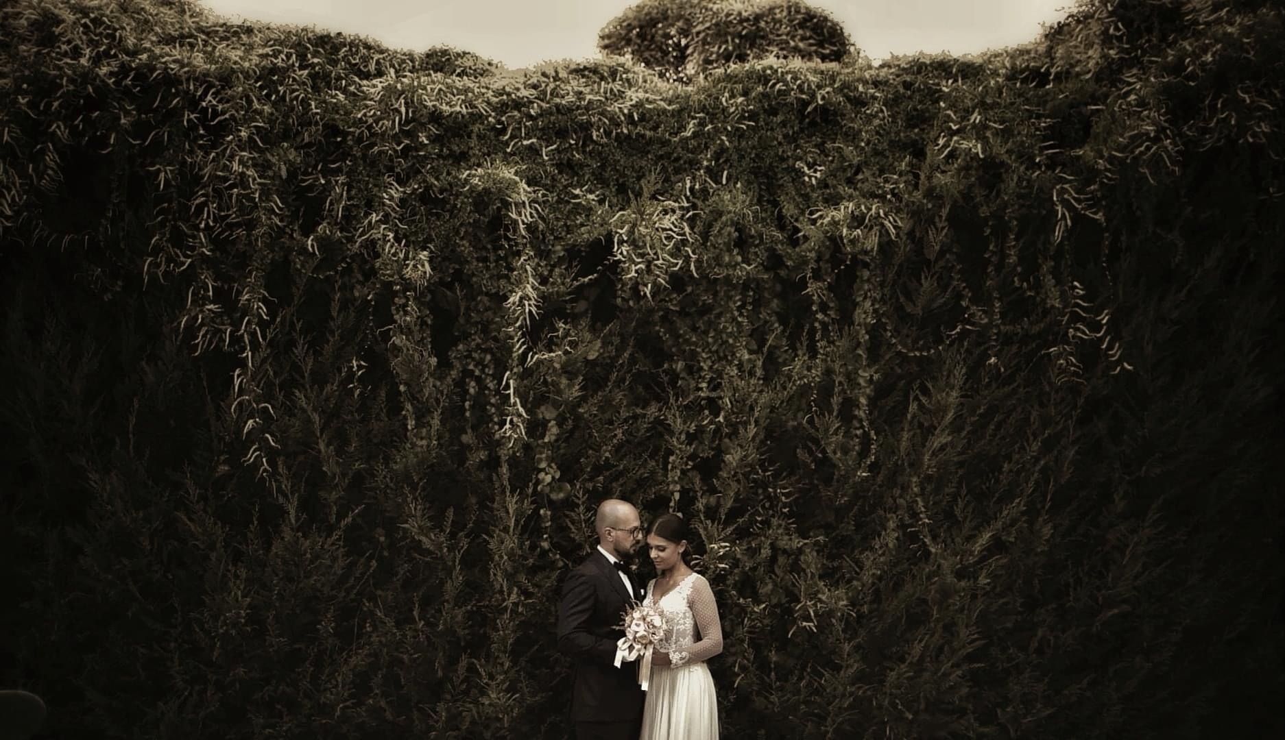 tall grass