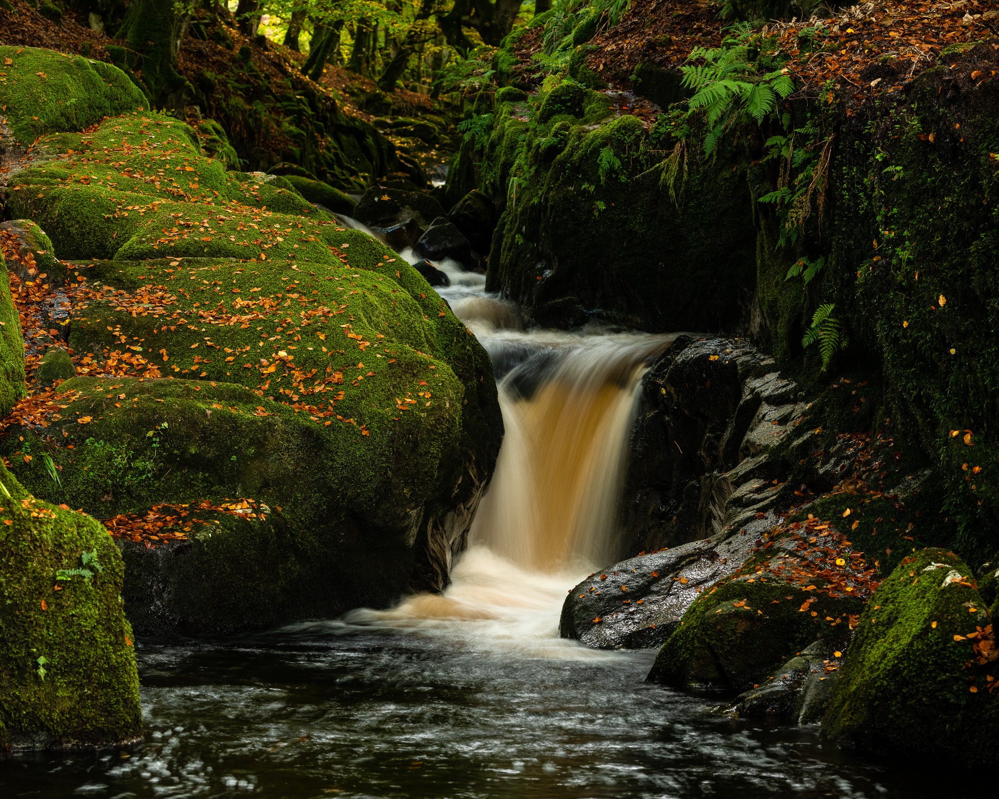 Cloghleagh River