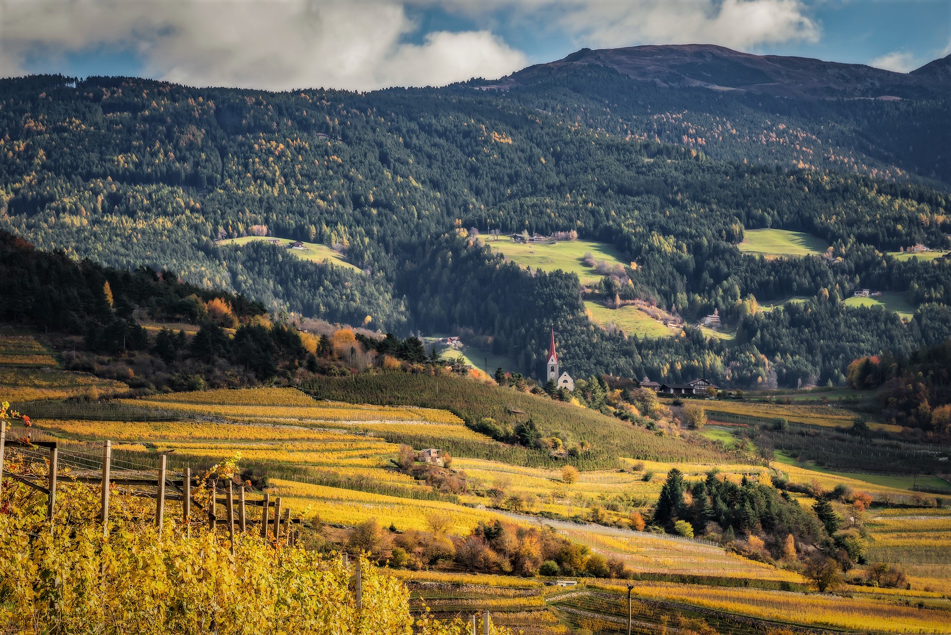 Golden autumn in Val di Funes