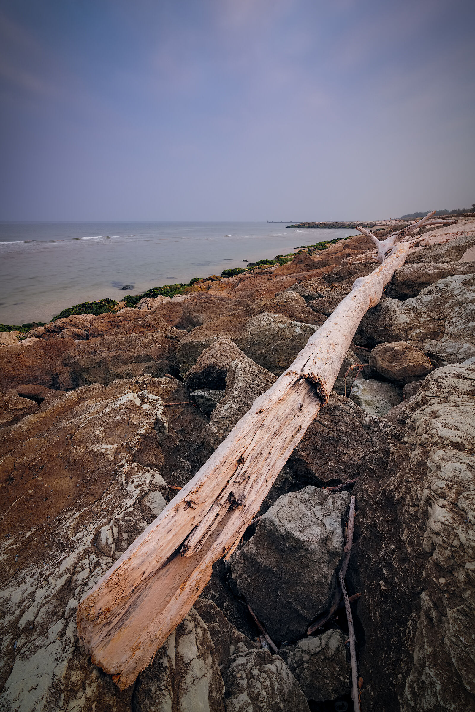 Autumn in Casalborsetti south.