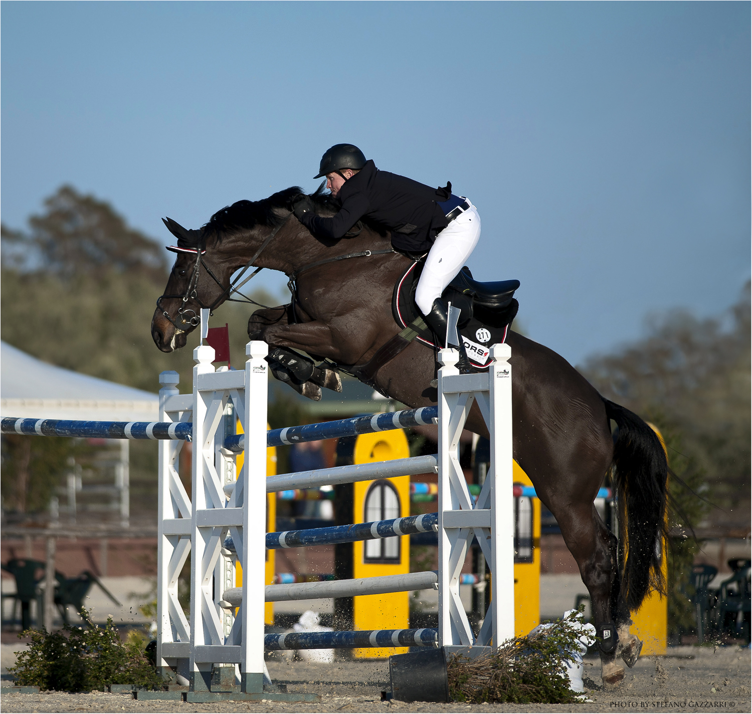 La forza e la leggerezza