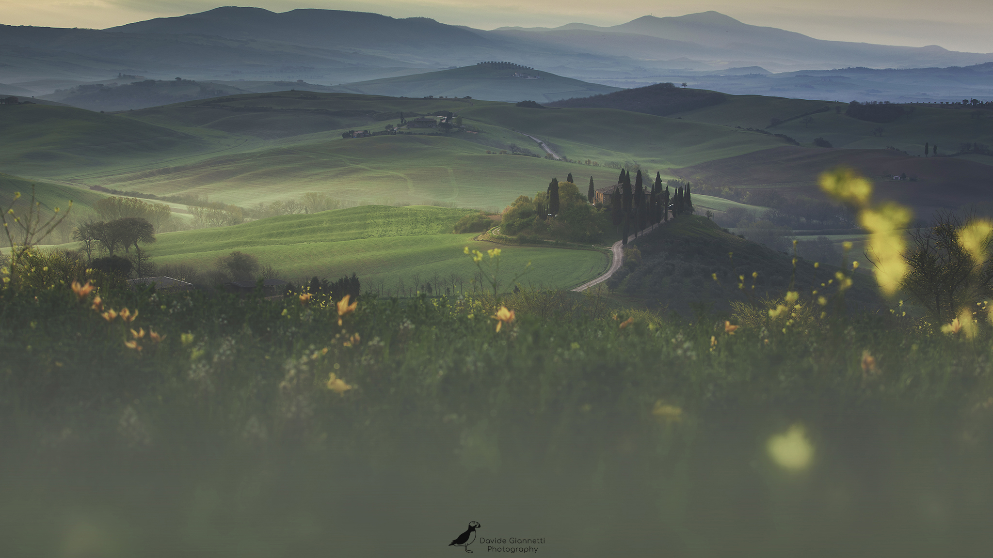 Early Morning in Tuscany