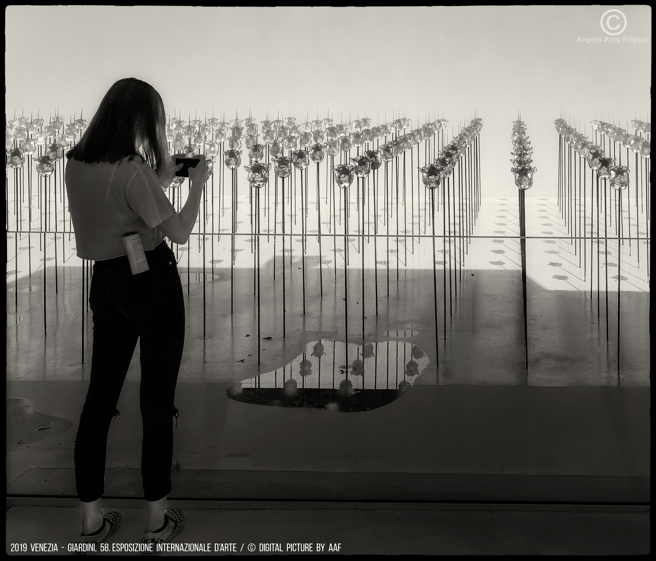 2019 Venezia, Giardini-58. Esposizione Intern. d'Arte