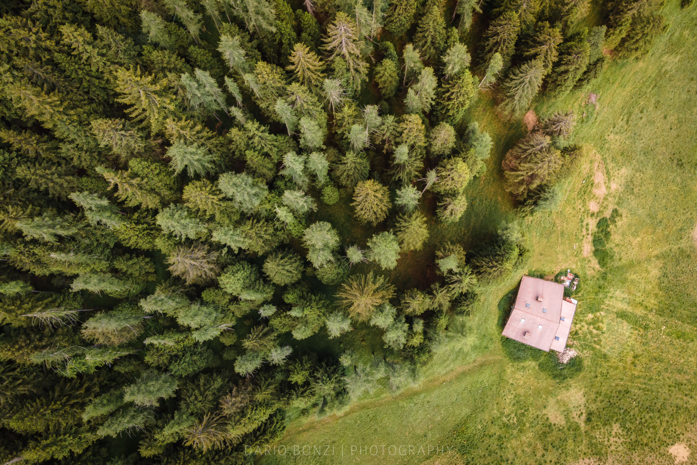 The Farmhouse in the Woods