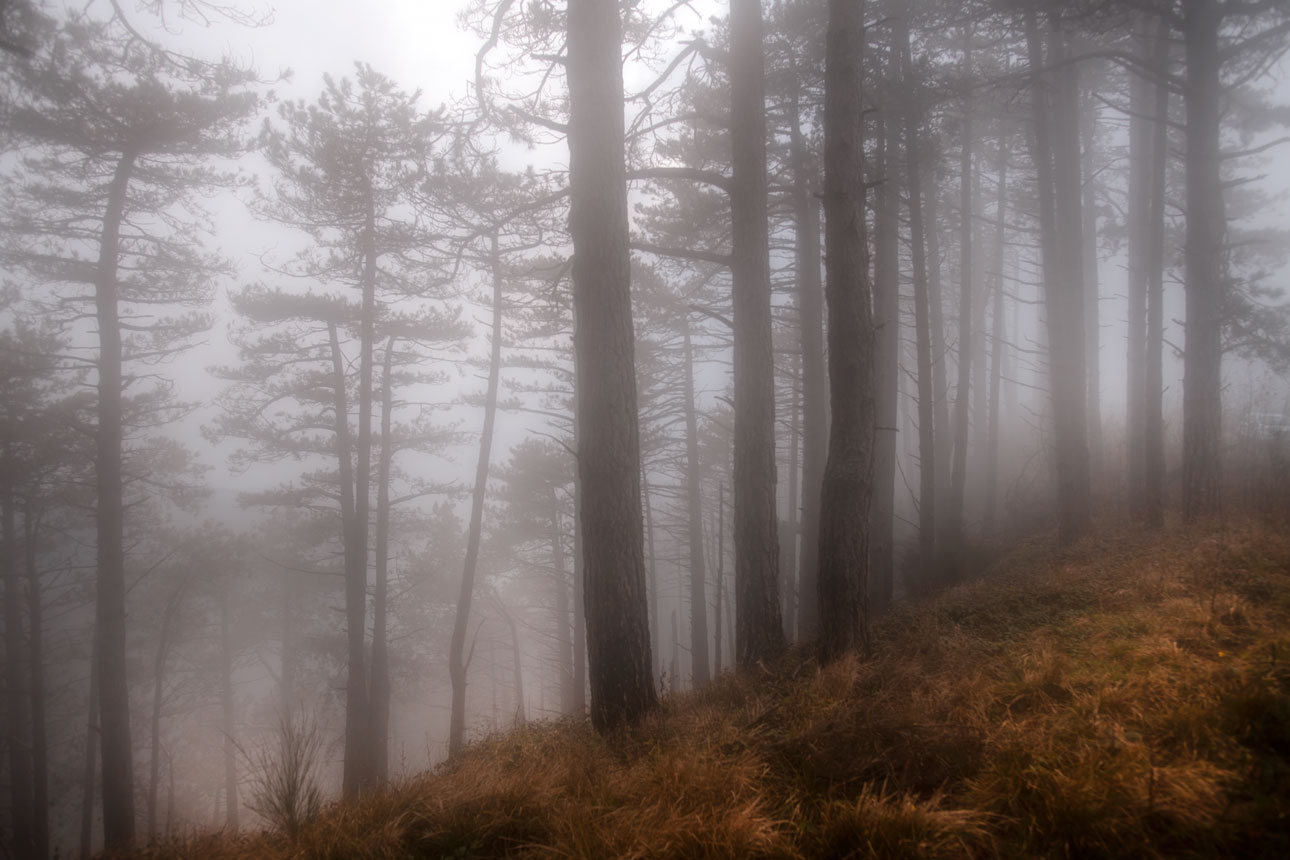Monte Fasce