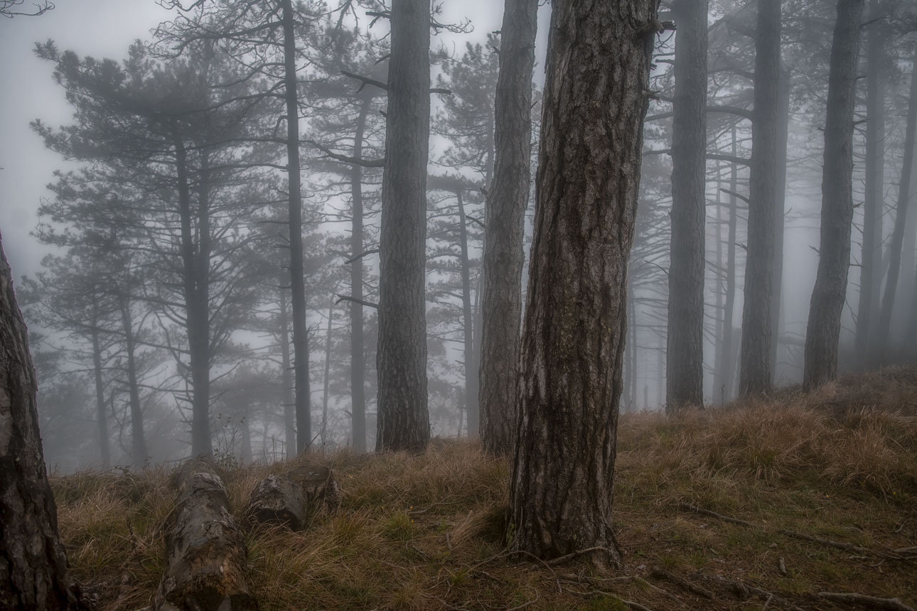 Monte fasce