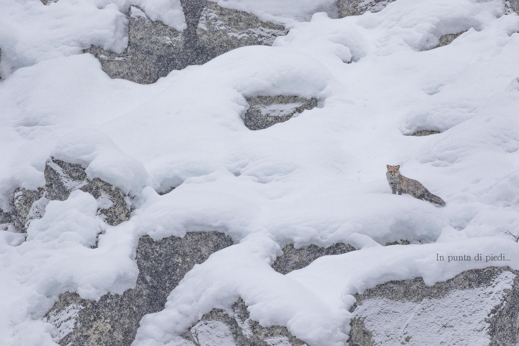 Sulle Montagne di casa tutto ciò di cui ho bisogno!