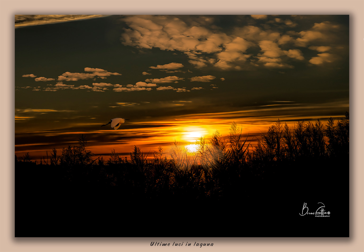 ultime luci in laguna