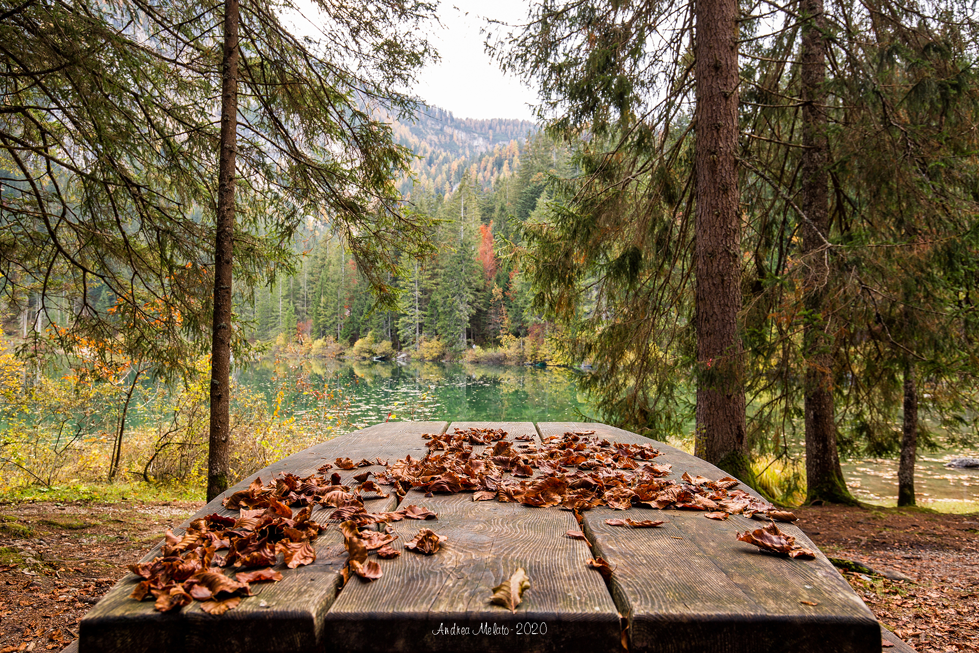Autumn at the Lake