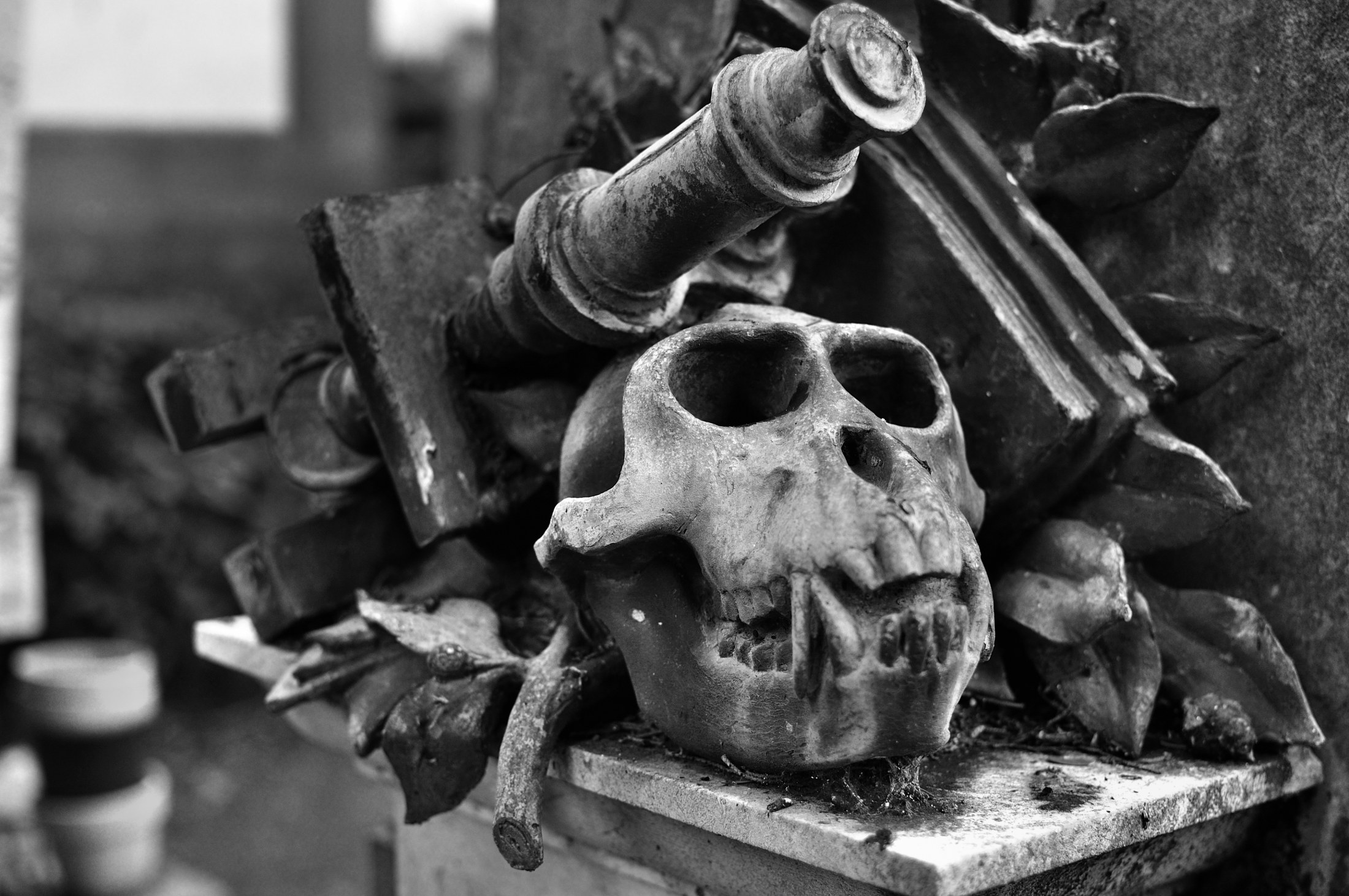 Teschio e Microscopio