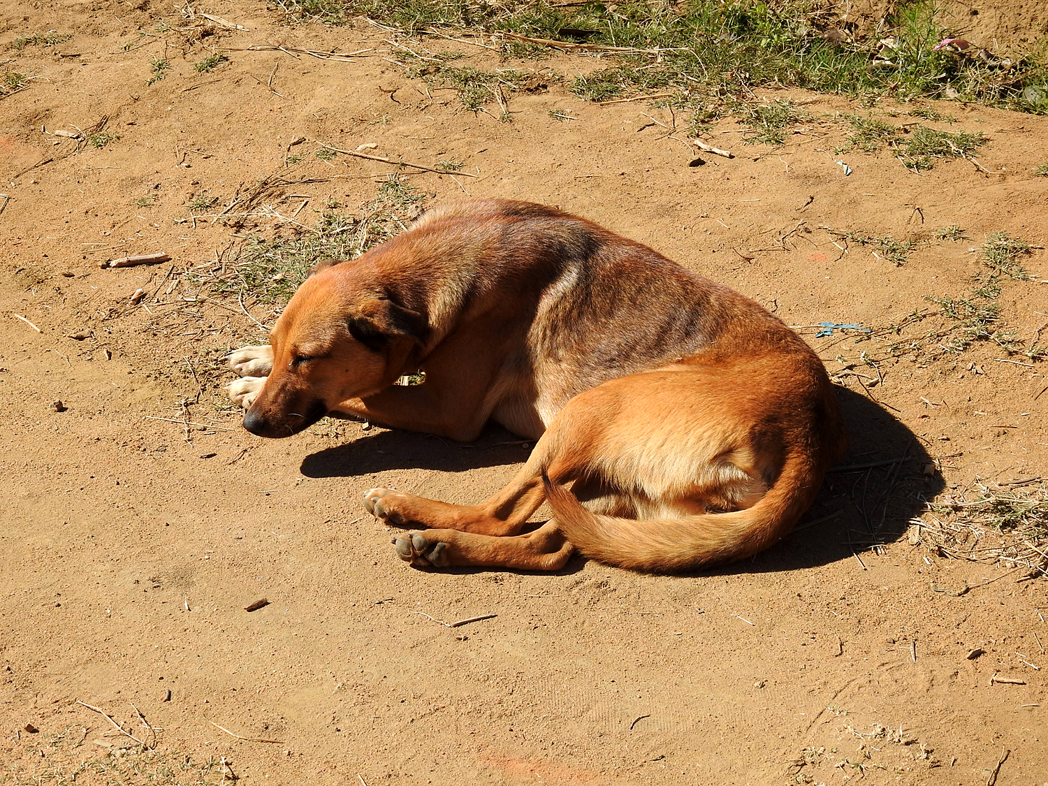20-07-2019 Anja Community Reserve, Madagascar 2