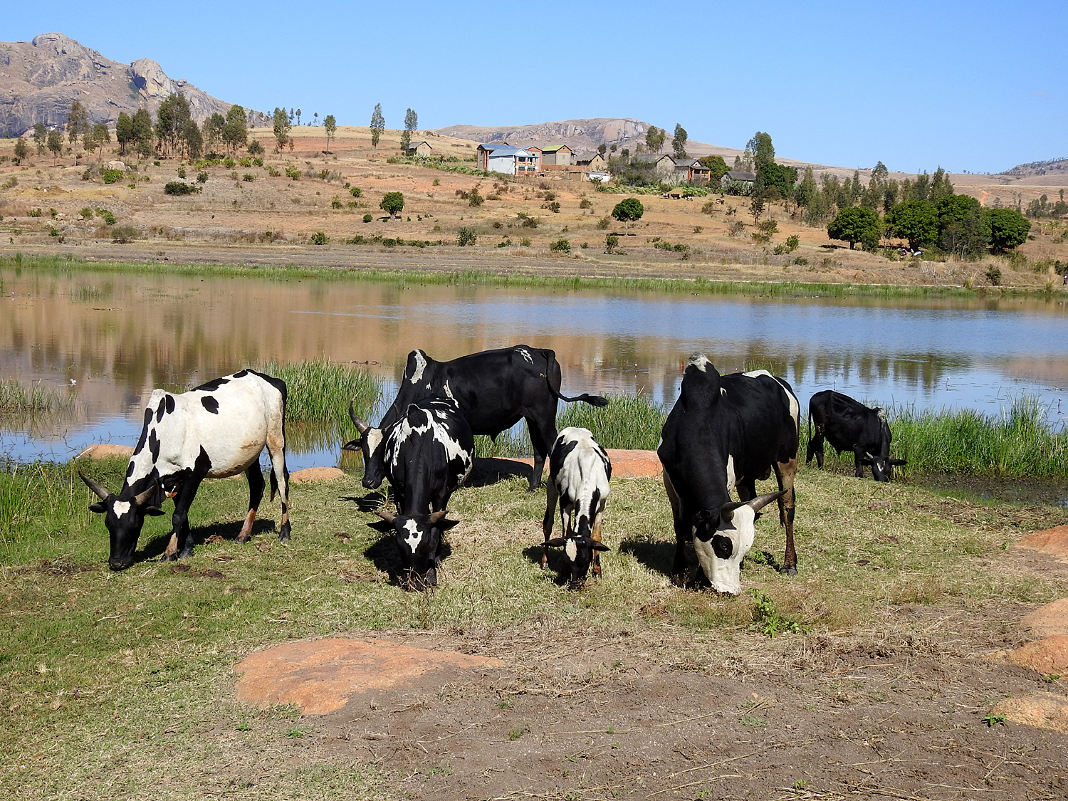 20-07-2019 Anja Community Reserve, Madagascar 3
