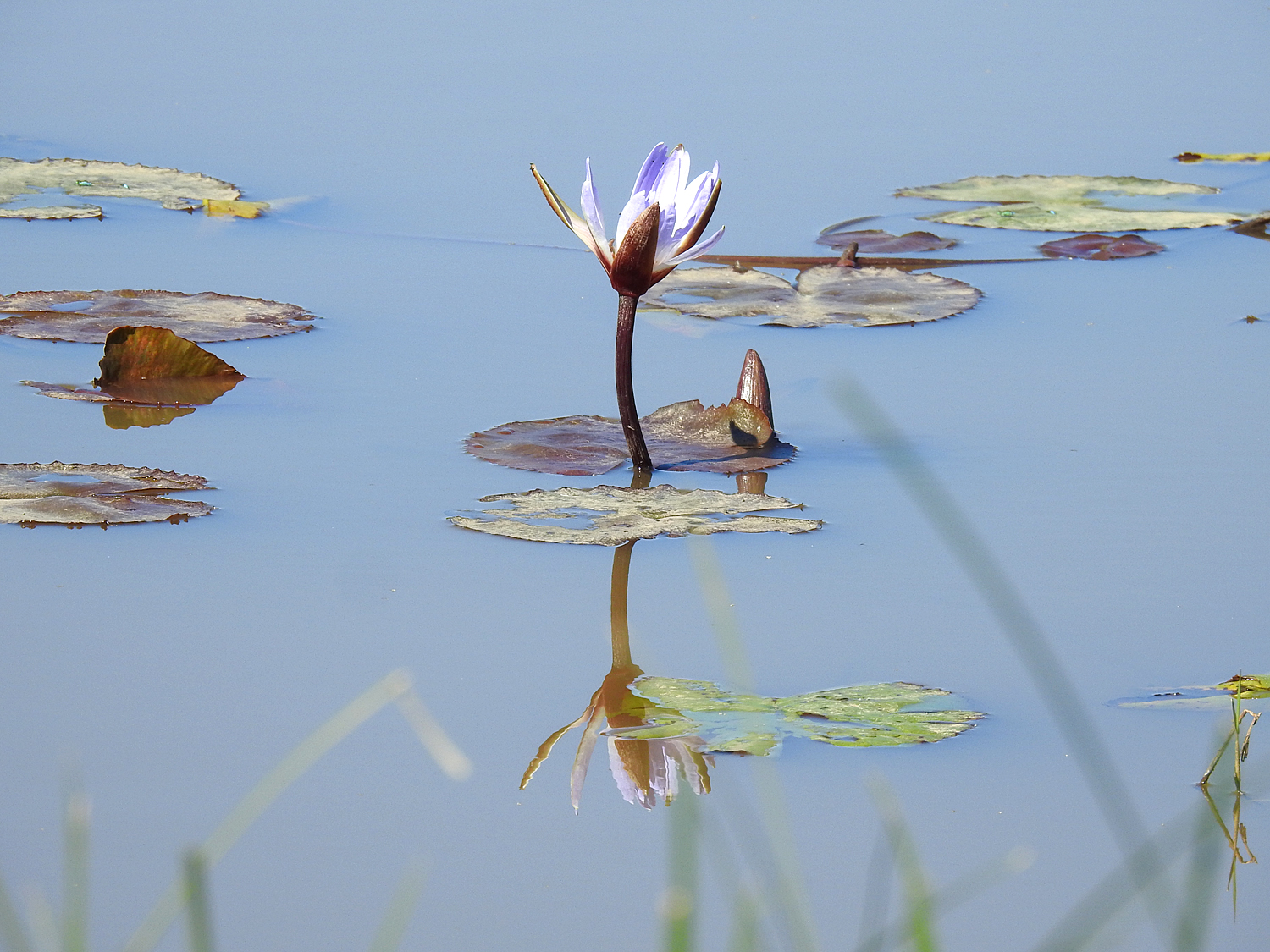 20-07-2019 Anja Community Reserve, Madagascar 4