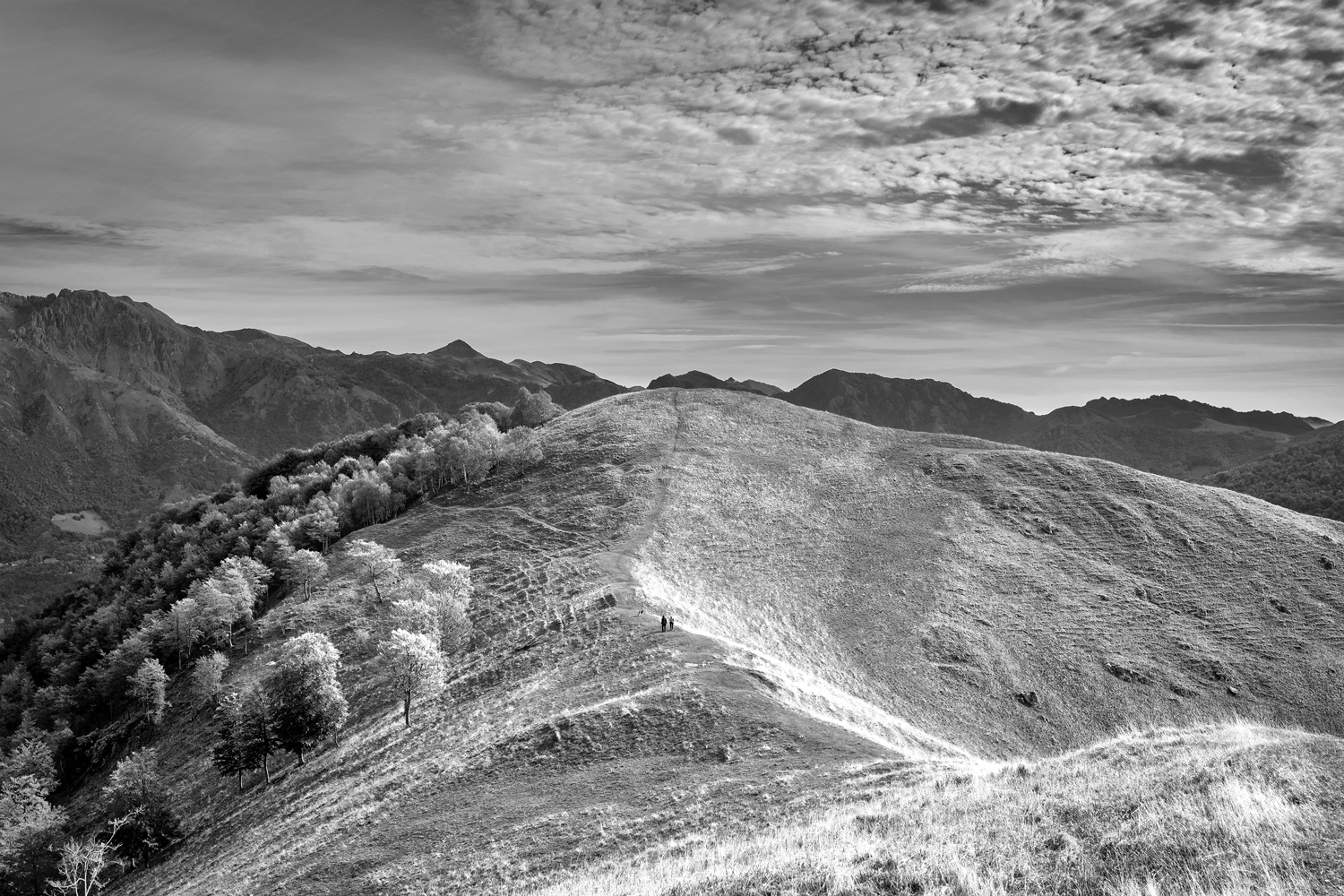 Passeggiando in collina