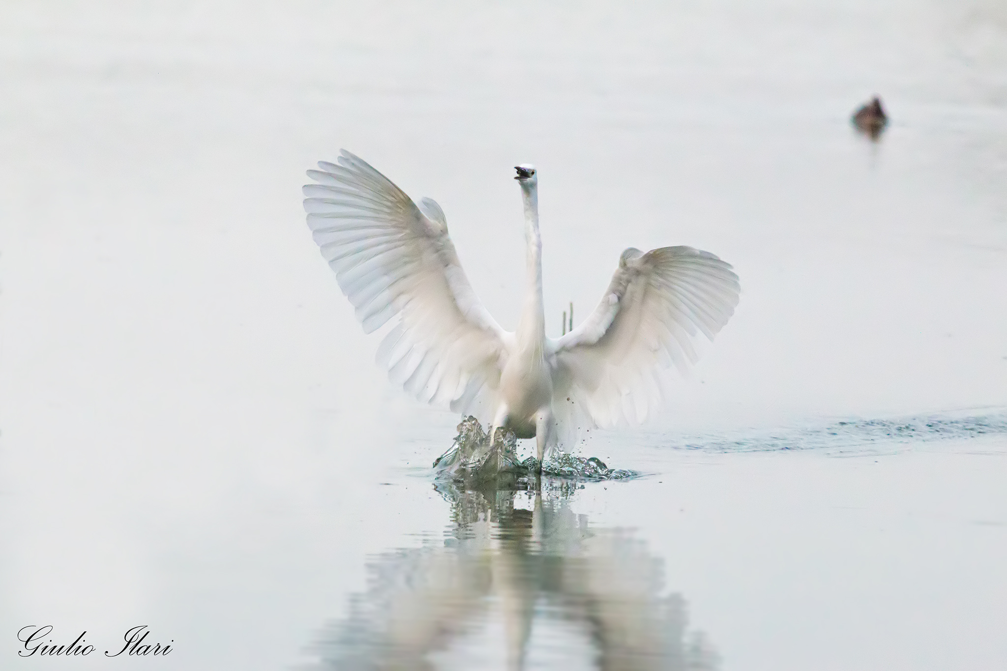 Landing at first light