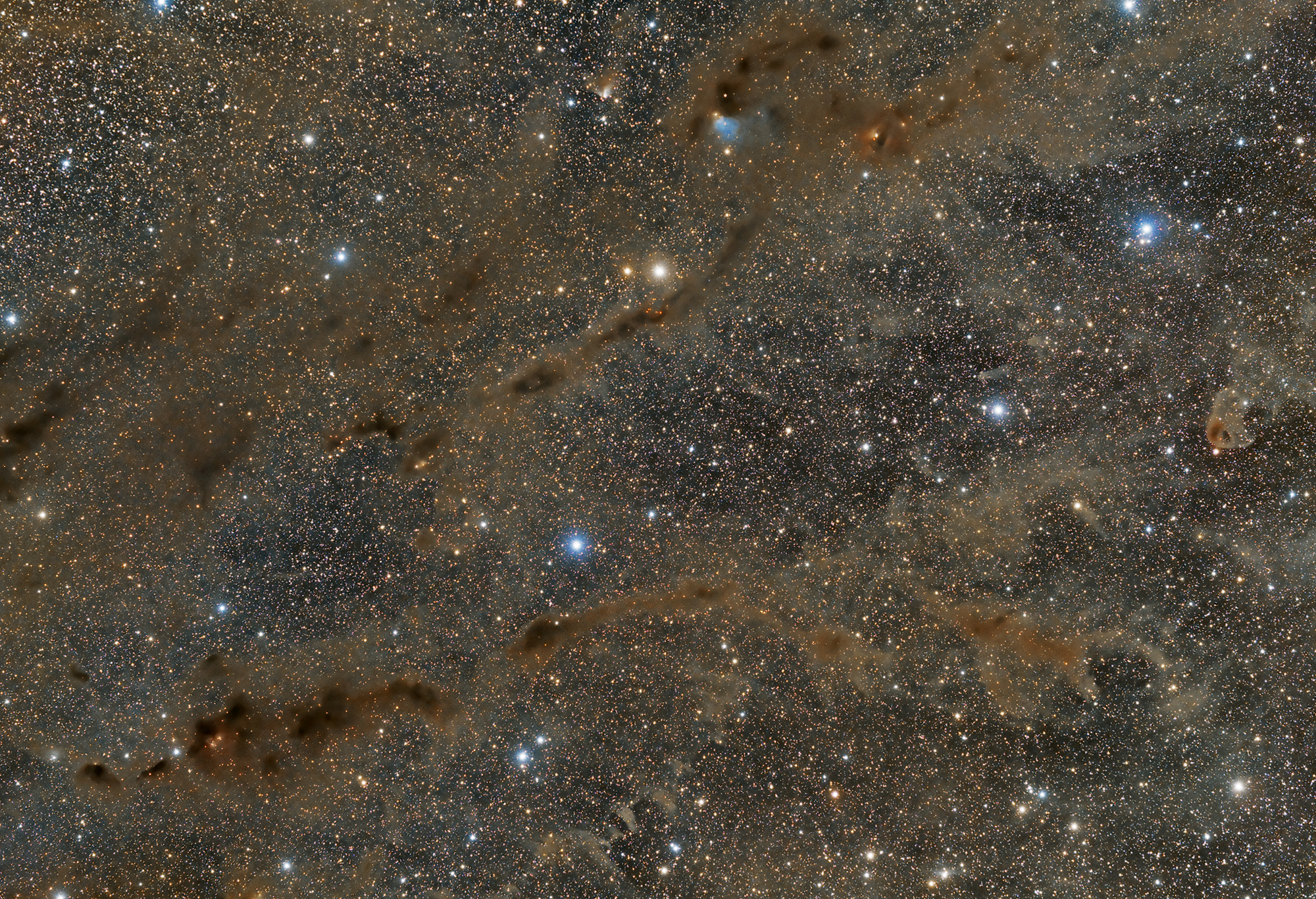 Dark clouds in the Bull