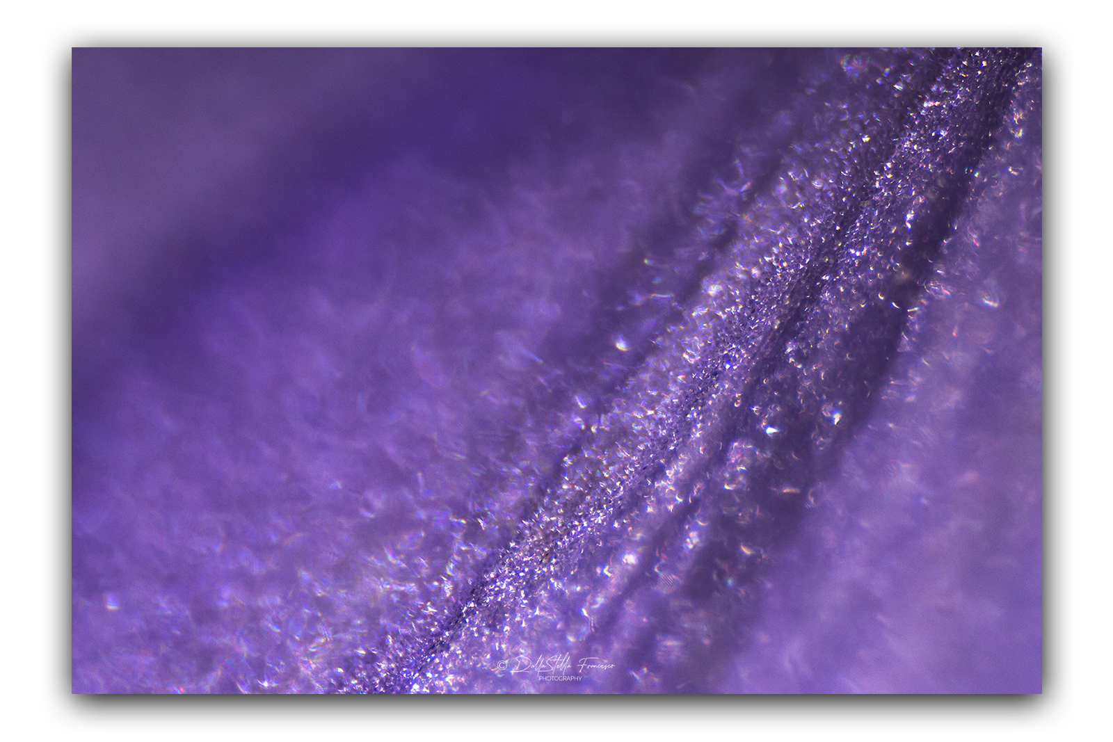 Infinitamente piccolo